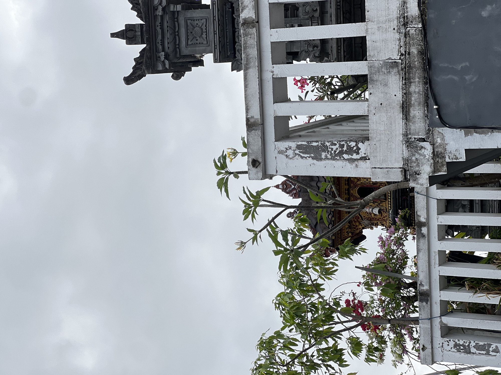The image captures a section of a Balinese temple or traditional structure in Denpasar, Indonesia, under an overcast sky. In the foreground, a white, weathered balustrade with vertical supports is visible, showing signs of age and chipped paint. Behind the balustrade, lush green foliage from trees and vibrant pink and white bougainvillea flowers spill over the edge. A few plumeria trees with small yellow flowers are also present.
Dominating the background are ornate architectural elements of the temple. To the right, a dark stone carving with intricate details, characteristic of Balinese temple architecture, rises towards the sky. A smaller, gilded shrine with red and gold accents is positioned behind the white balustrade in the center. The overall impression is one of a serene, tropical setting with a blend of natural beauty and cultural heritage. There are no people visible in the image.