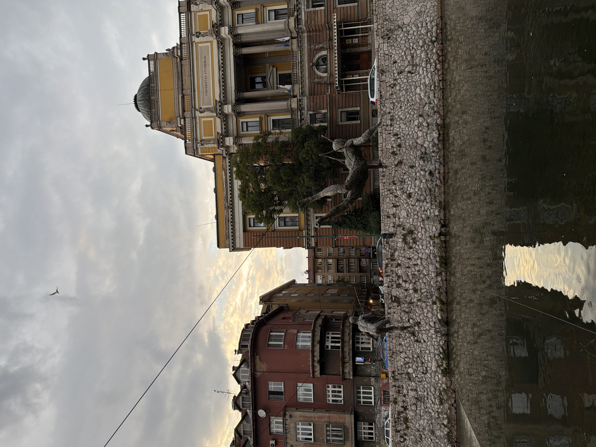 The image depicts a scene in Sarajevo, Bosnia and Herzegovina, featuring the University of Sarajevo's Rectorate building, also known as the Vijećnica. The **Vijećnica** is a prominent yellow and brown multi-story building with a distinctive dome and classical architectural elements. To the right of the Vijećnica, a riverbank lined with cobblestones leads to a dark body of water, likely the Miljacka River, reflecting the sky and surrounding buildings.
In the foreground, a **sculpture** of what appears to be a human figure is visible on the riverbank. The sculpture is made of metal and has a dynamic, almost contorted pose, suggesting movement. Adjacent to the sculpture and the river, several other buildings with red and brown facades are visible, showcasing a mix of architectural styles. These buildings have numerous windows and balconies.
The **sky** is overcast with dramatic, textured clouds, hinting at either sunrise or sunset, with a soft golden light peeking through in some areas. A single **bird** is captured in flight against the cloudy sky on the left side of the image. A **white van** is parked along the riverbank near the Vijećnica.
The **time of day** appears to be late afternoon or early evening, given the quality of the light and the dramatic clouds. The **weather** seems to be cloudy, but not actively raining.
There is **visible text** on the Vijećnica building, the phrase "UNIVERSITAS STUDIORUM" is clearly legible on a plaque. Other graffiti is visible on the lower buildings.
The overall **atmosphere** of the image is one of historical grandeur and urban life, with the imposing architecture of the Vijećnica contrasted by the more lived-in appearance of the adjacent buildings and the presence of the river and public art.