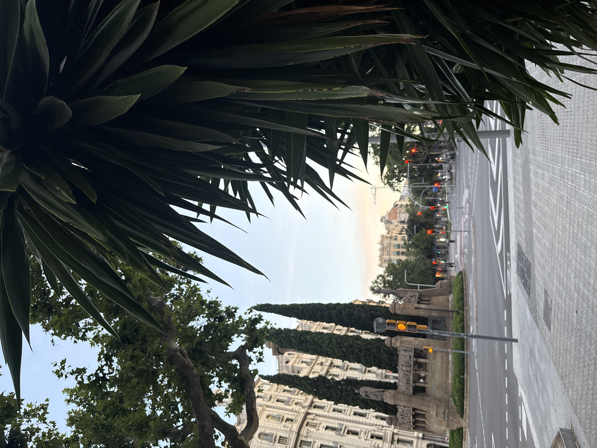 The image captures a street scene in Barcelona, Spain, with a prominent focus on a large, dark green palm frond in the foreground, obscuring part of the view. Beyond the frond, a city intersection is visible. A large, ornate stone monument with statues and decorative carvings stands to the left, flanked by tall, slender cypress trees. Behind the monument and trees, a grand, multi-story building with classical architecture and numerous windows lines the street. The intersection features traffic lights, some displaying red and orange signals. Paved sidewalks with patterned tiles and road markings are present. In the background, more buildings and trees can be seen under a sky with hues of orange and blue, suggesting it is either sunrise or sunset. There are no visible people in the immediate foreground or midground.