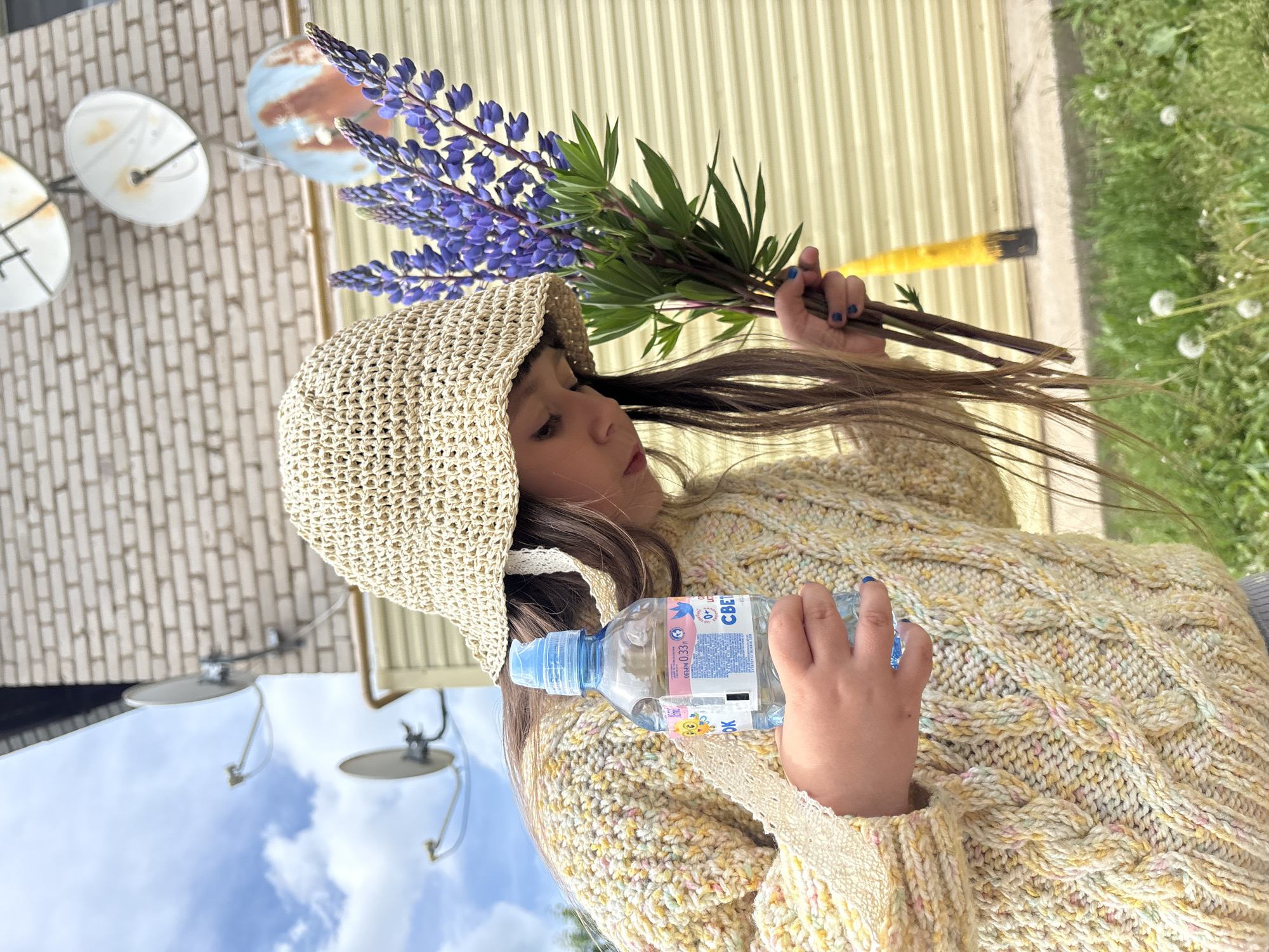 A young child, appearing to be a girl, is shown outdoors in a high-angle shot, with the image rotated 90 degrees clockwise. She wears a light beige, possibly crocheted or woven, bonnet and a chunky, cable-knit sweater in varied shades of yellow and light pastel colors. Her long brown hair flows loosely around her.
In her left hand (viewer's right), she holds a large bunch of purple lupine flowers with prominent green foliage. In her right hand (viewer's left), she grasps a small, clear plastic water bottle. The bottle's label features Cyrillic text, with "СВЕТ" (SVET), "0,33л", "0+", a small blue bird logo, and "RODNIK.COM" clearly visible.
The background offers a mix of urban and natural elements. To the left, two white satellite dishes, showing signs of rust, are mounted against a light brown brick wall, with a patch of blue sky and white clouds visible below them. To the right, a light yellow corrugated metal wall stretches horizontally, next to a vibrant green lawn scattered with white dandelion puffs.
The scene depicts a calm daytime moment, likely under a sunny or partly cloudy sky. The child's face is partially obscured by her hat and hair, but she appears contemplative or focused on the items she holds. The setting suggests an outdoor residential or rural area in Фоки, Russia.