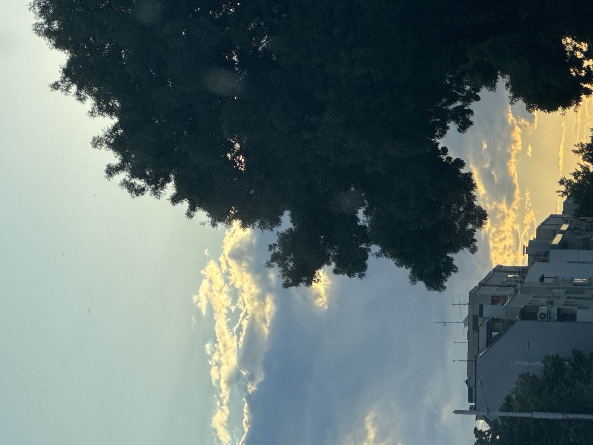 This is an eye-level, medium shot photograph taken during daylight hours, capturing a view of apartment buildings and a large tree with the sky and clouds in the background. The sky is a pale blue with scattered white and yellow clouds. The sun is not directly visible, but its light illuminates the edges of the clouds, creating a warm glow. The large tree, dark green and silhouetted, occupies the right side of the frame, its branches extending upwards and inwards. In the lower left quadrant, parts of several multi-story apartment buildings are visible. The buildings appear to be modern, with light-colored facades and visible window frames. Some have balconies and air conditioning units. Antennas are present on the roofs of some buildings. The scene suggests an urban environment, possibly Plovdiv, Bulgaria, given the architectural style of the buildings and the overall atmosphere. There are no people or specific actions depicted. The overall impression is one of a serene, late afternoon or early evening sky over a residential area.