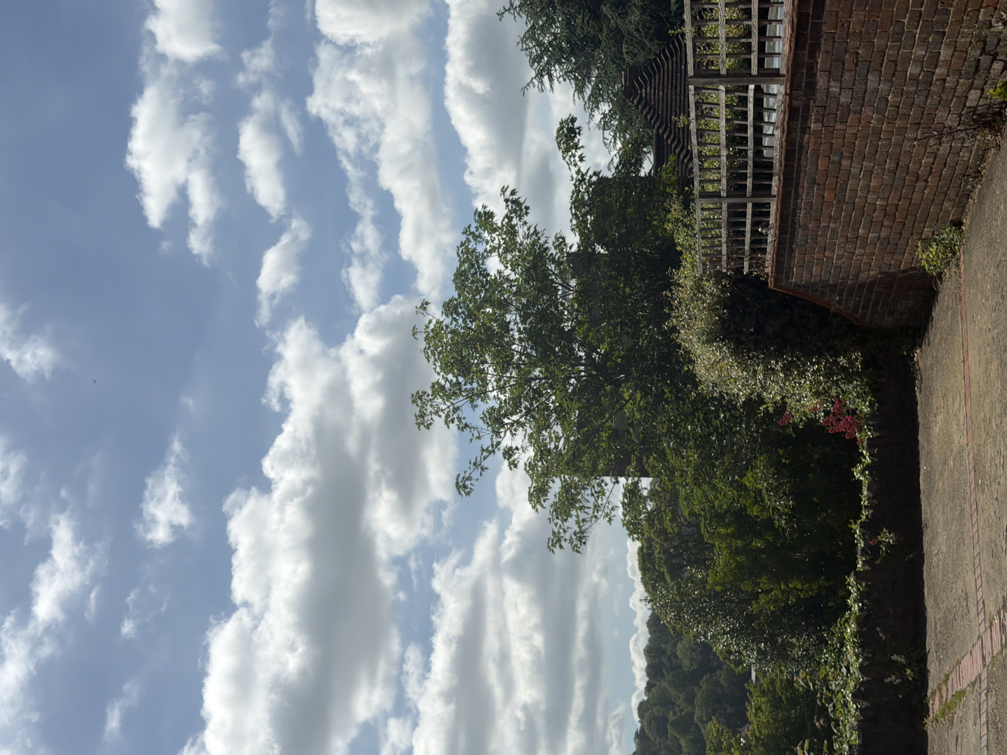 This media file captures an outdoor scene on a bright, cloudy day, likely in a garden or residential area in Guildford, United Kingdom. The upper and left portions of the image are dominated by a clear blue sky dotted with numerous fluffy white cumulus clouds, indicating fair weather.
In the mid-ground, a variety of lush green trees and dense foliage are visible, creating a vibrant natural setting. A large tree with distinct leaves stands out, while other greenery forms a rich background, possibly covering a hillside or slope. Small clusters of red flowers are nestled within the foliage, adding a touch of color near the brick wall.
On the right side of the frame, a textured, red-brown brick wall serves as a boundary or architectural feature. Behind this wall, a wooden trellis structure, possibly part of a pergola or fence, can be seen. A paved path or ground surface occupies the lower right corner. The strong, even illumination suggests the photograph was taken during daytime, likely midday or afternoon. There are no people or specific activities taking place, and no visible text is present in the image.