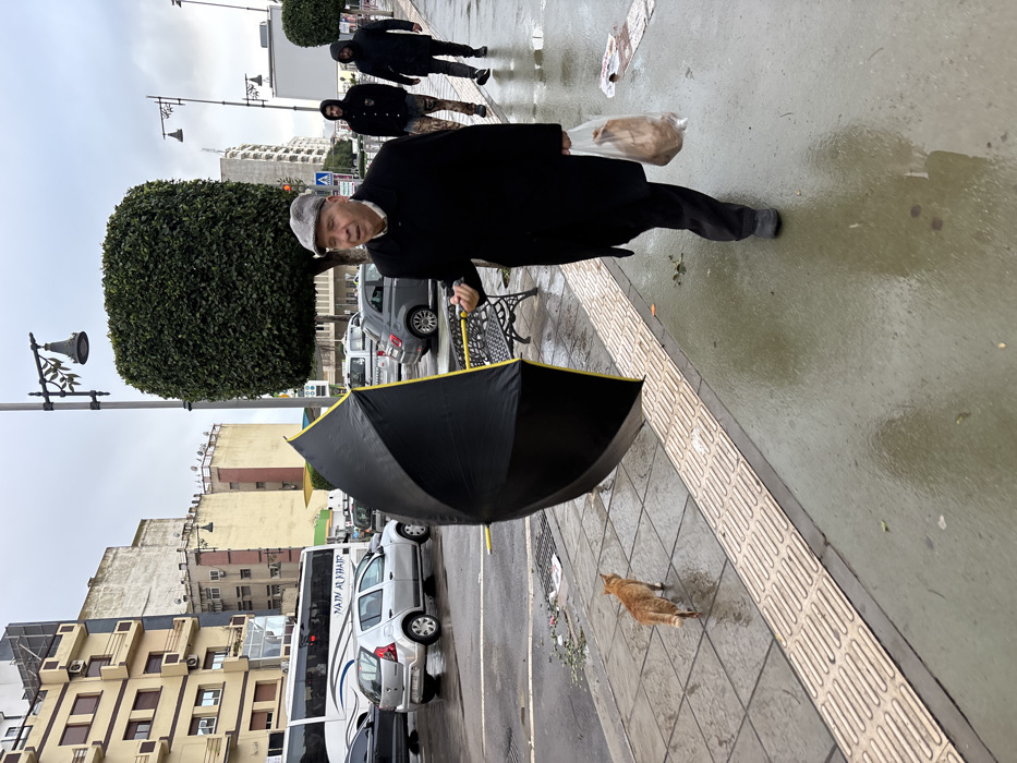 An elderly man in a dark coat and cap walks on a rainy sidewalk, carrying a plastic bag of bread. A black umbrella is partially visible in the foreground, near a ginger cat walking away. Two figures in hooded jackets walk further up the sidewalk. Cars and buildings line the street in the background, including a large bus and apartment blocks. A rounded bush sits to the side of the sidewalk.