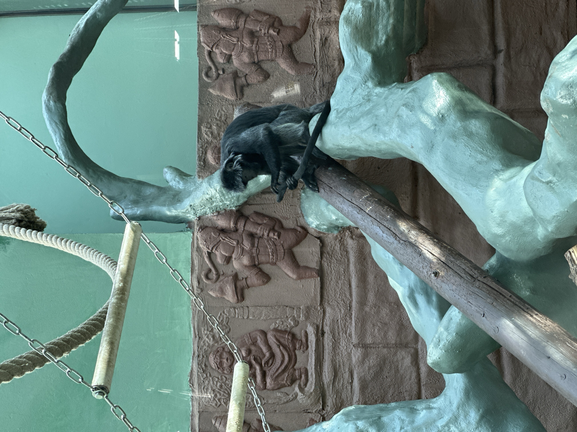 Captured inside a zoo enclosure of Unknown, Unknown, a primate, seemingly a monkey, rests on a faux wooden beam. The beam itself is positioned diagonally, propped up by what appear to be faux tree branches molded out of a light teal-colored material. The monkey is a dark, almost charcoal gray, appearing to be sleeping or resting its head on its arms. Behind the monkey, the wall is adorned with faux carvings of humans or humanoid figures, likely intended to mimic ancient carvings or glyphs. To the left of the frame, there are ropes and chains, seemingly part of the enclosure's design. The background is a greenish-blue color, possibly the color of the wall or enclosure.
