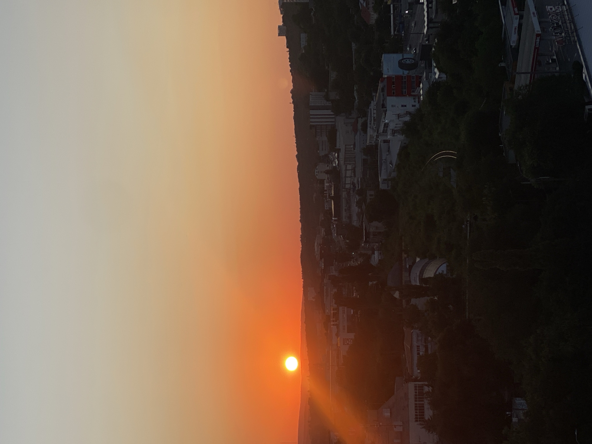 The image captures a sunset over the city of Chișinău, Moldova, viewed from an elevated perspective. The sun, a bright orb, is positioned on the left side of the frame, casting a warm, orange glow across the sky. The sky transitions from a pale yellow near the horizon to a soft grey at the top. In the foreground, dark silhouettes of trees and buildings are visible. The middle ground shows a cityscape with various buildings, some with illuminated windows. A hint of a railway track can be seen curving through the green foliage in the mid-right of the image. The overall scene depicts a tranquil urban landscape at dusk.