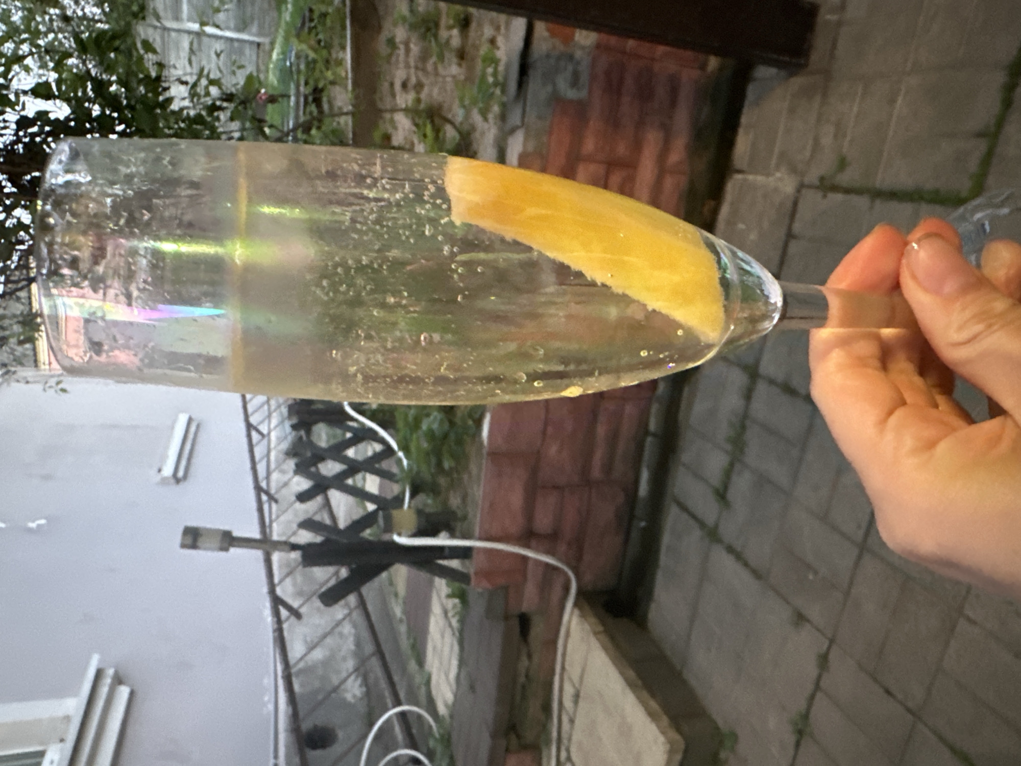 An outdoor scene captures a person's hand holding a champagne flute filled with a pale yellow liquid and a slice of citrus fruit. The flute is positioned in the foreground, with a blurred background that suggests a residential outdoor area. The environment includes a paved walkway, a brick wall, a metal fence with decorative elements, and some greenery. The lighting indicates it is either dusk or a heavily overcast day. The image does not contain any specific landmarks or details that would allow for identification of the location within Minsk, Belarus.