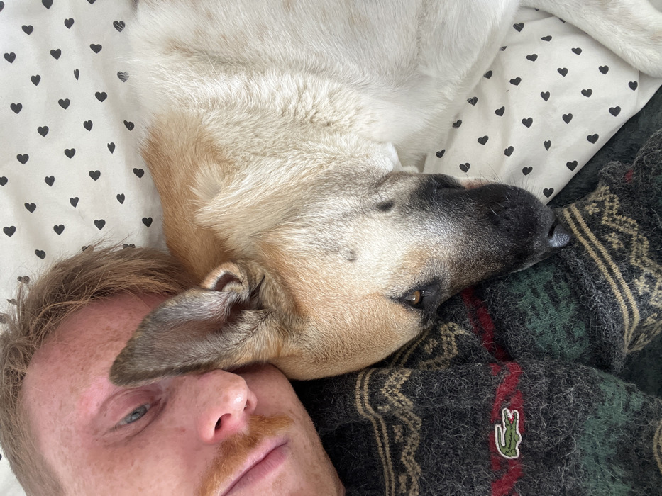 An overhead close-up shows a human and a dog resting together on a bed. The human, partially visible on the left, has fair skin, light-colored hair, a blue eye, and a reddish-brown mustache. They are dressed in a dark, intricately patterned knitted sweater, featuring green, red, and beige details and a green Lacoste crocodile emblem on the left chest. To the human's right, a medium-sized dog is depicted, its head and upper body visible. The dog has tan and white fur, a darker muzzle, brown eyes, and a prominent erect ear close to the human's face. Both subjects are lying on white bedding adorned with a repetitive pattern of small black hearts. The visual information within the image does not provide specific landmarks or contextual cues to confirm the location as Tel-Aviv, Israel.