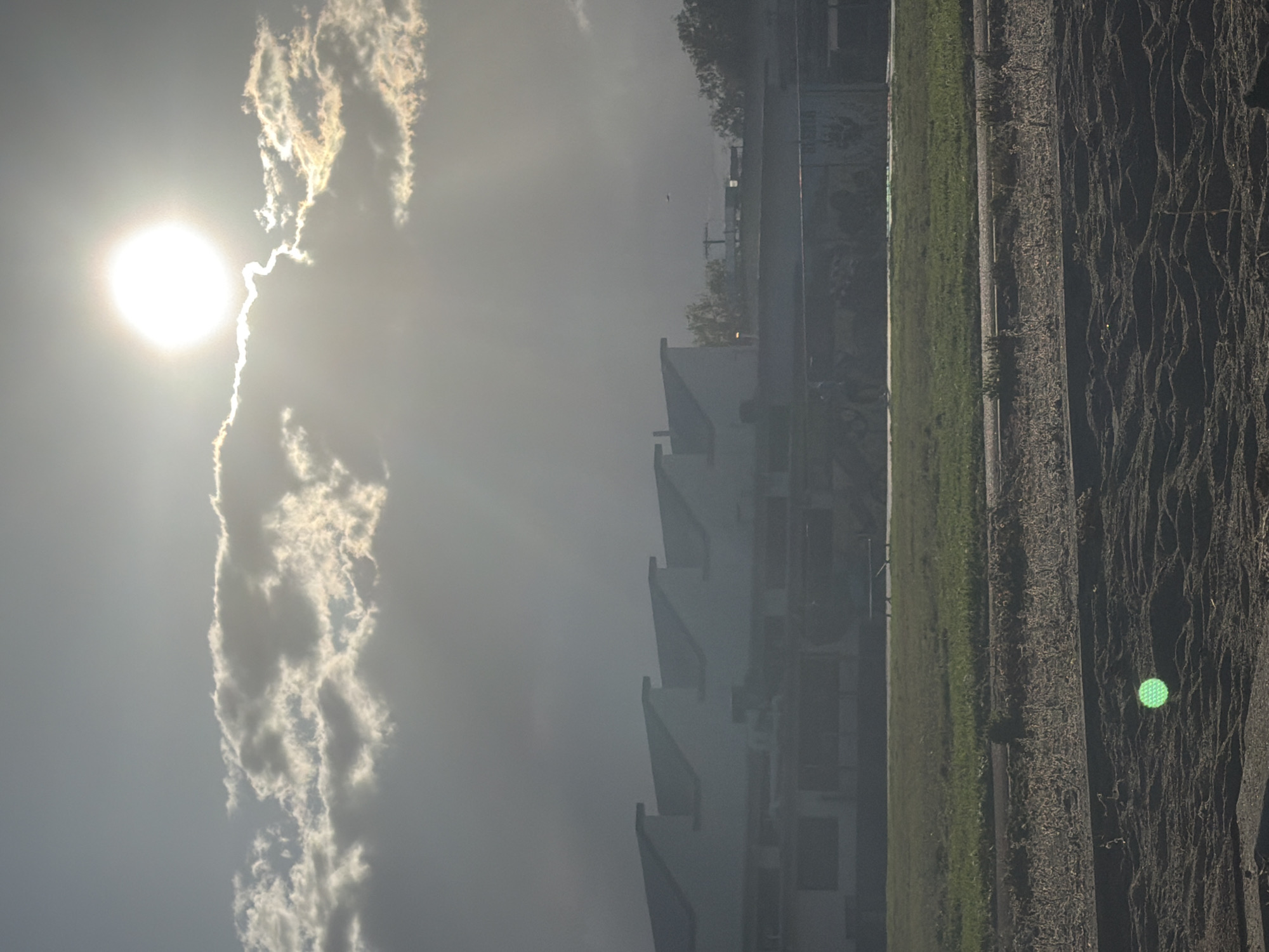 The image shows an overcast day in what appears to be Burbank, California, United States of America. The sun is visible through the clouds, with a bright glow. Clouds stretch across the sky, primarily on the left side of the frame.
In the foreground, a sidewalk and a strip of grass are visible. The sidewalk surface is textured. Along the right edge of the frame, the texture suggests that the sidewalk could be made of or covered with asphalt. The sidewalk runs alongside a line of trees.
Behind the trees, several buildings are visible in the background, appearing to be residential units with a modern architectural design with pitched roofs.