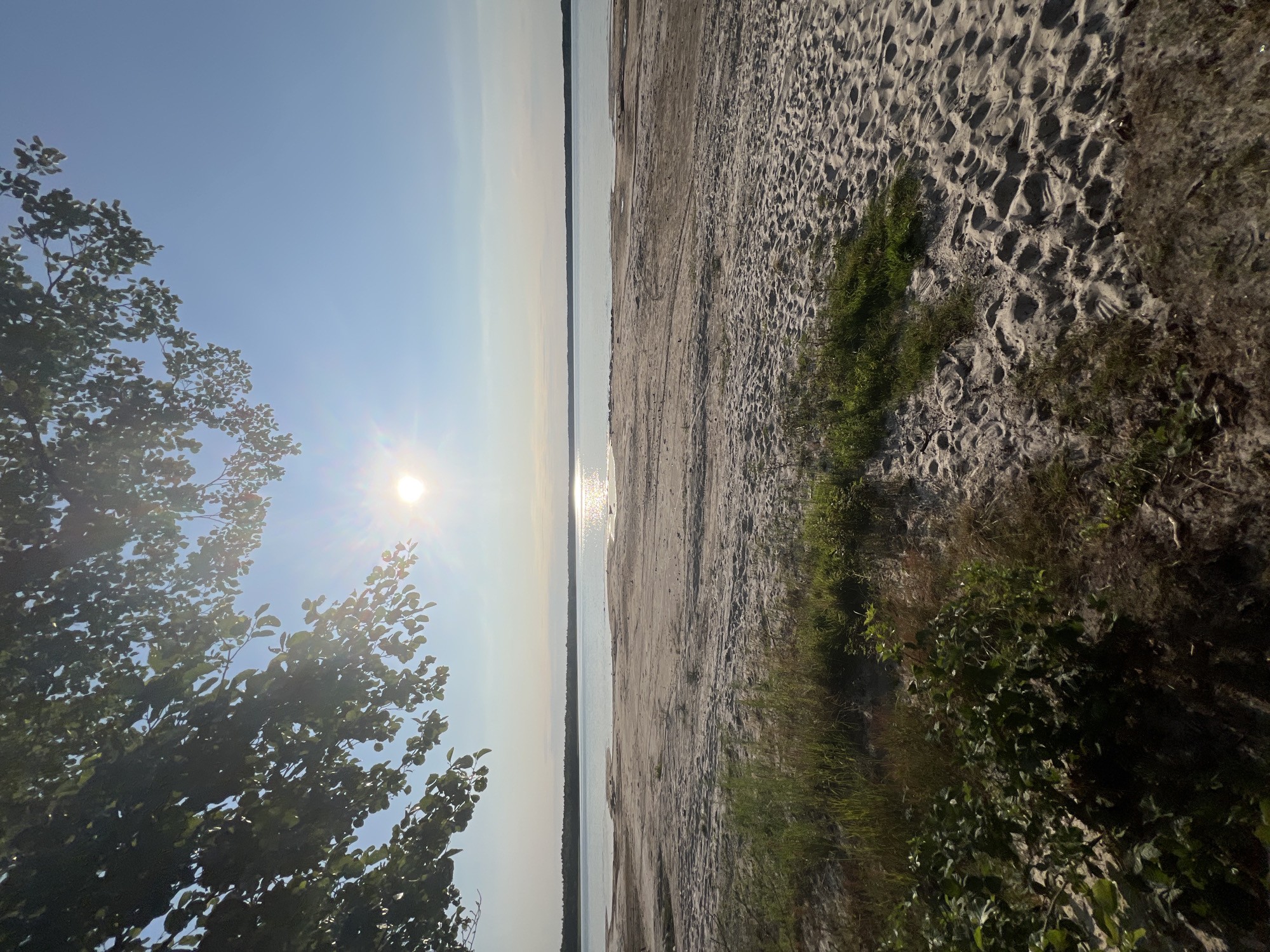 The image depicts a sandy beach with a calm body of water in the background. The sun is high in the sky, casting a bright glare on the water. The scene is framed by tree branches on the left side. There are no people visible in the image. The environment suggests a natural outdoor setting, likely a lake or a large river. The location is specified as Rudka, Ukraine, indicating this is a landscape view within that geographical area.