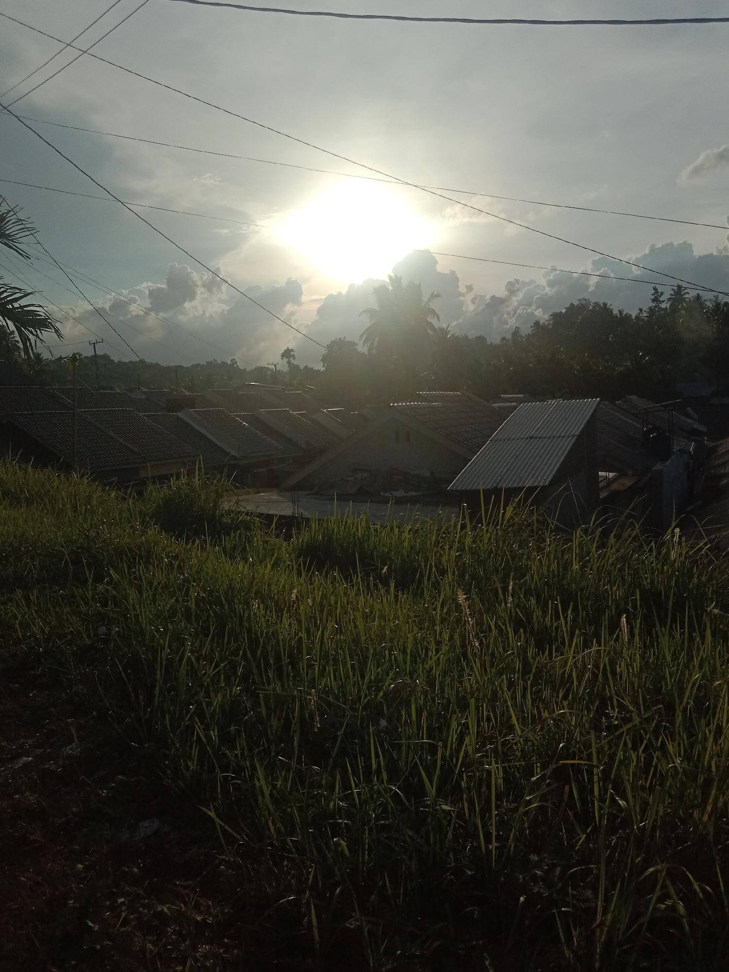 The image depicts a scene in Lhokseumawe, Indonesia, characterized by tall grass in the foreground, obscuring the view of several one-story houses with dark tiled roofs. The houses are arranged in a row, suggesting a residential area. Beyond the houses, there is a line of trees. The sky is overcast, with the sun partially obscured by clouds, creating a bright glare. Several utility lines cross the upper portion of the image. The lighting is uneven, with shadows cast on the grass and the front of the houses. The overall impression is of a quiet, possibly rural or suburban, environment. No people are visible in the image.