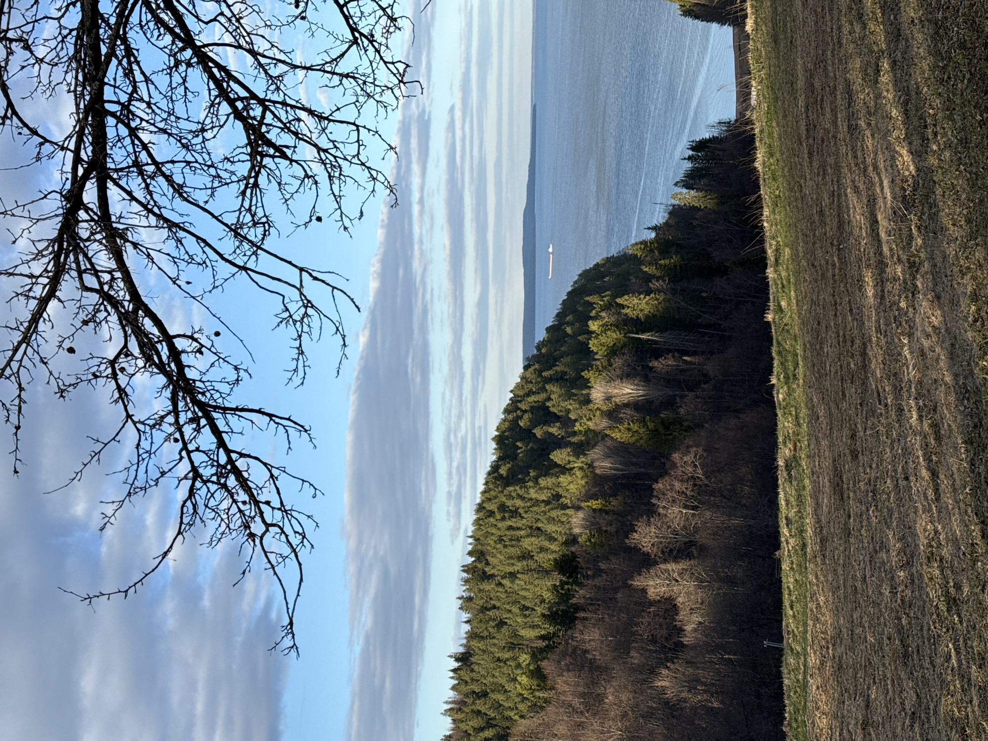 A landscape photograph taken from a high vantage point shows a body of water bordered by a forested hillside and a harvested field. The sky is partially cloudy with a tree branch in the foreground. A small boat is visible on the water. The location is consistent with a rural or semi-rural setting, but cannot definitively place it in Galevo, Russia. No people are visible.
