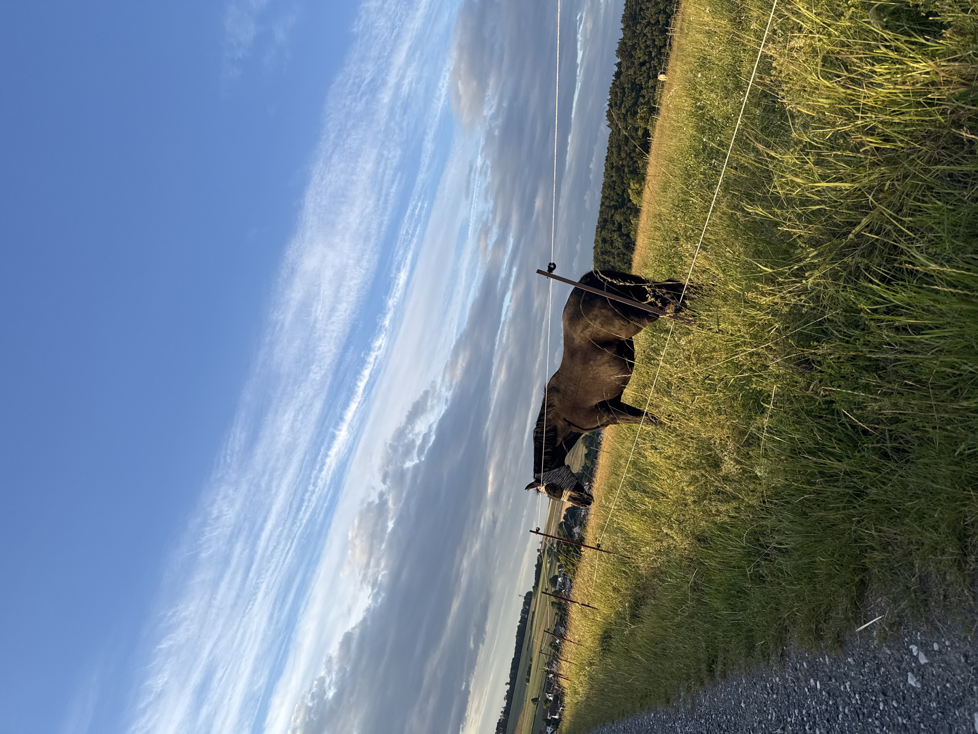 The image depicts a brown horse standing in a grassy field with a wire fence in the foreground. The horse is facing to the right, wearing a fly mask over its eyes and snout. In the background, a village with scattered houses is visible, nestled among rolling hills covered in trees. The sky above is a vibrant blue with streaks of white clouds, suggesting it is either sunrise or sunset. A gravel path runs along the left side of the image, bordering the field. This scene is located in the city of Oberquembach, Germany, a rural area characterized by agricultural land and a small community.