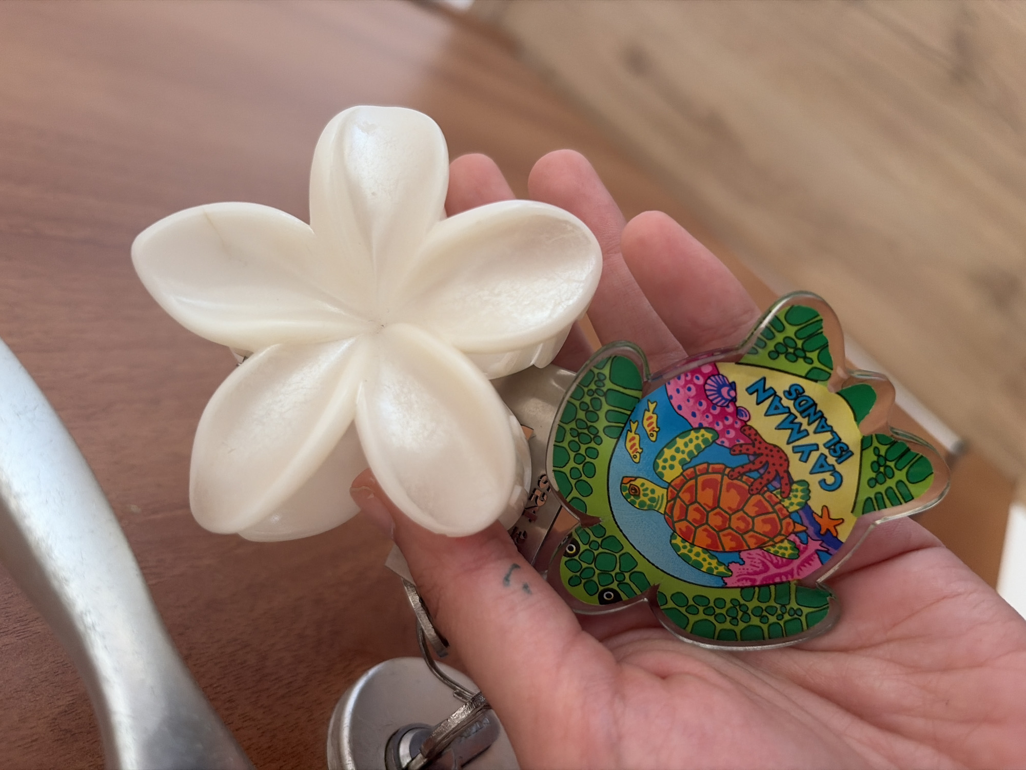 A close-up shot shows a person's hand holding two keychains. One keychain is a white, stylized flower, possibly a plumeria. The other keychain is in the shape of a sea turtle with a colorful coral reef background. The turtle is predominantly green with an orange shell. The words "CAYMAN ISLANDS" are visible in yellow text on the keychain, written vertically. The background of the image is a wooden surface, likely a table. A portion of a silver metallic object, possibly a door handle or part of a tool, is visible on the left side of the frame. The lighting suggests an indoor setting. The image appears to be taken at eye level, focusing on the keychains and the hand. There are no discernible emotional cues. The location context provided is Obzor, Bulgaria.