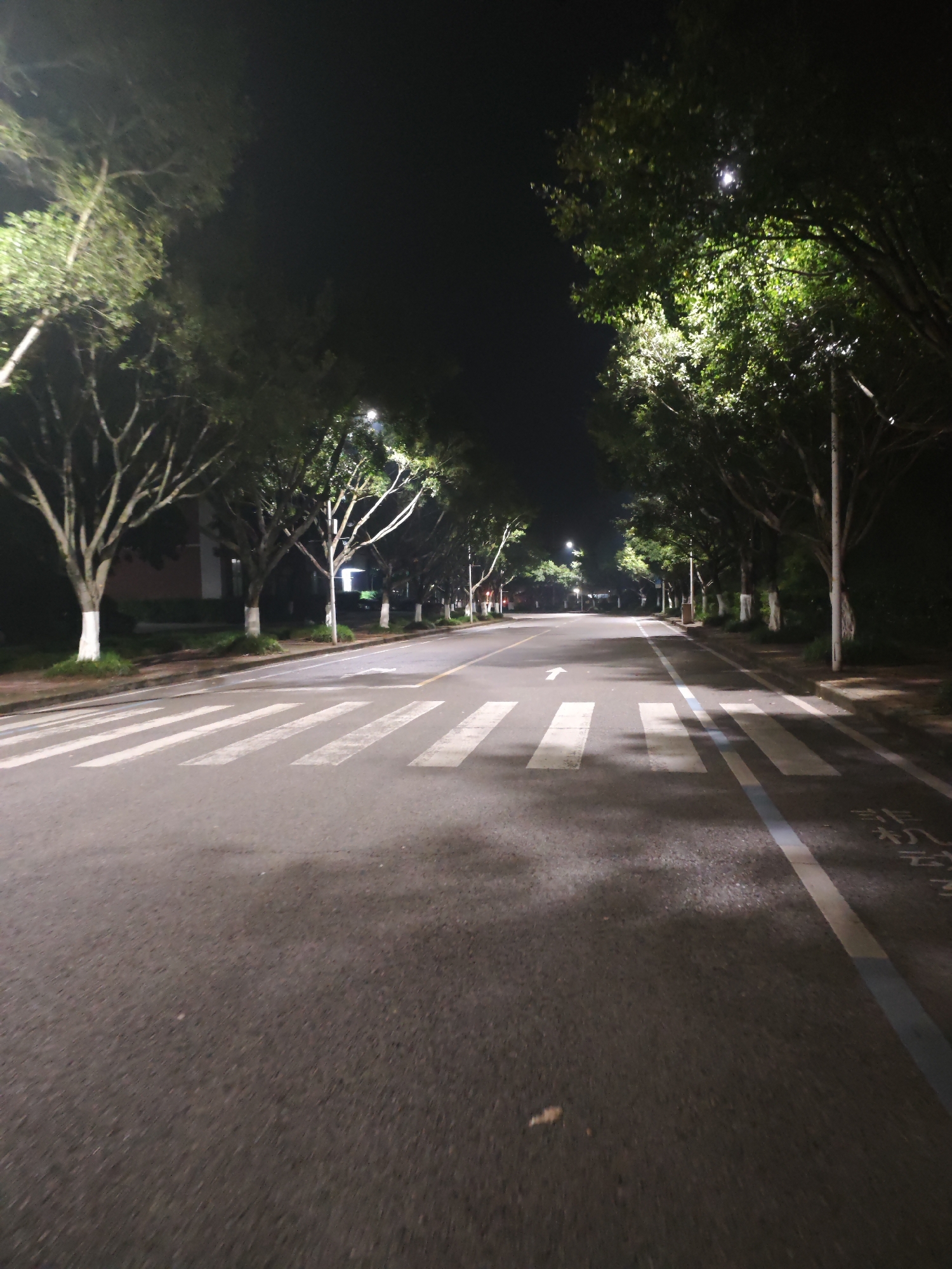 The image shows a street at night in Chongqing High-tech Zone, China. The street is lined with trees, and streetlights illuminate the road and trees. There are pedestrian crosswalks marked on the road. A white arrow is painted on the road, indicating the direction of traffic. The road appears to be asphalt. The trunks of the trees are painted white.