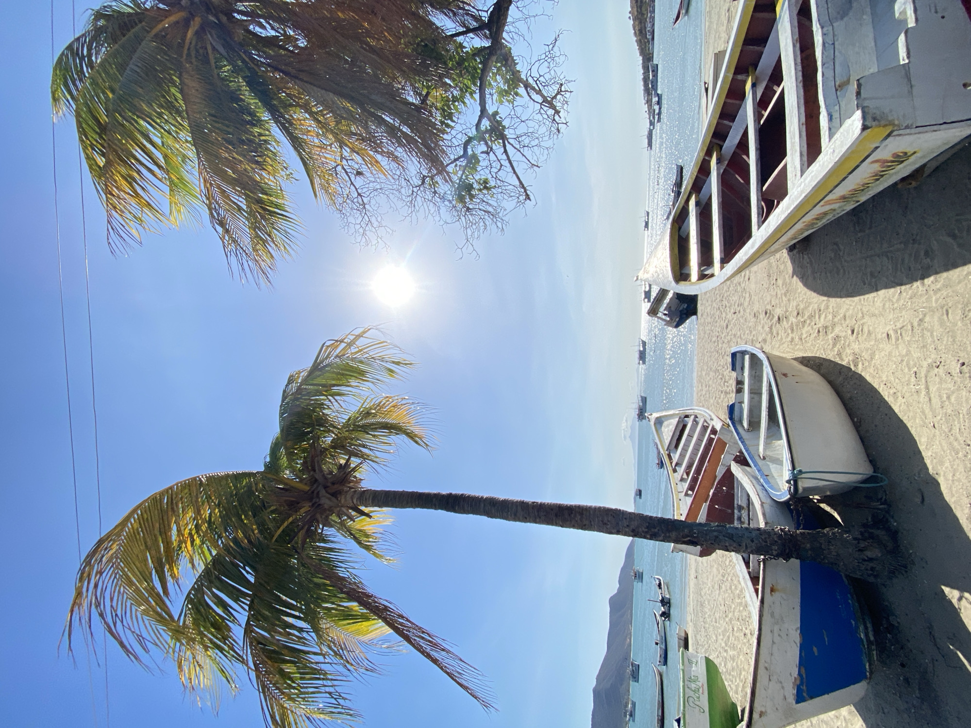 This vertical image depicts a sun-drenched coastal scene in Juan Griego, Venezuela, characterized by a bright blue sky, sandy beach, and numerous boats.
In the foreground, two palm trees frame the scene. One large palm tree dominates the left side, its dark trunk extending upwards and its green fronds, some with yellowish tips, spreading across the upper left sky. Another palm tree is partially visible at the top. The sun, high in the sky, shines brightly, creating a prominent lens flare and illuminating the clear blue expanse. Faint power lines are visible in the upper left.
The sandy shore, golden under the bright sunlight, is occupied by several small boats pulled up from the water. A large, prominent boat with white and yellow paint, possibly named "SAINAMARINA," rests on the right side of the sand. Closer to the bottom, another boat painted white and blue is visible, alongside a third white and green boat with the text "Pacha Ma II" written on its side. These boats cast strong shadows on the sand, indicating mid-day.
Beyond the beach, the calm, sparkling sea stretches into the distance, filled with numerous other boats bobbing on the water. In the far background, distant mountains rise from the horizon. The overall scene conveys a sense of tranquility and warmth, characteristic of a tropical beach setting. There are no people visible in the image.