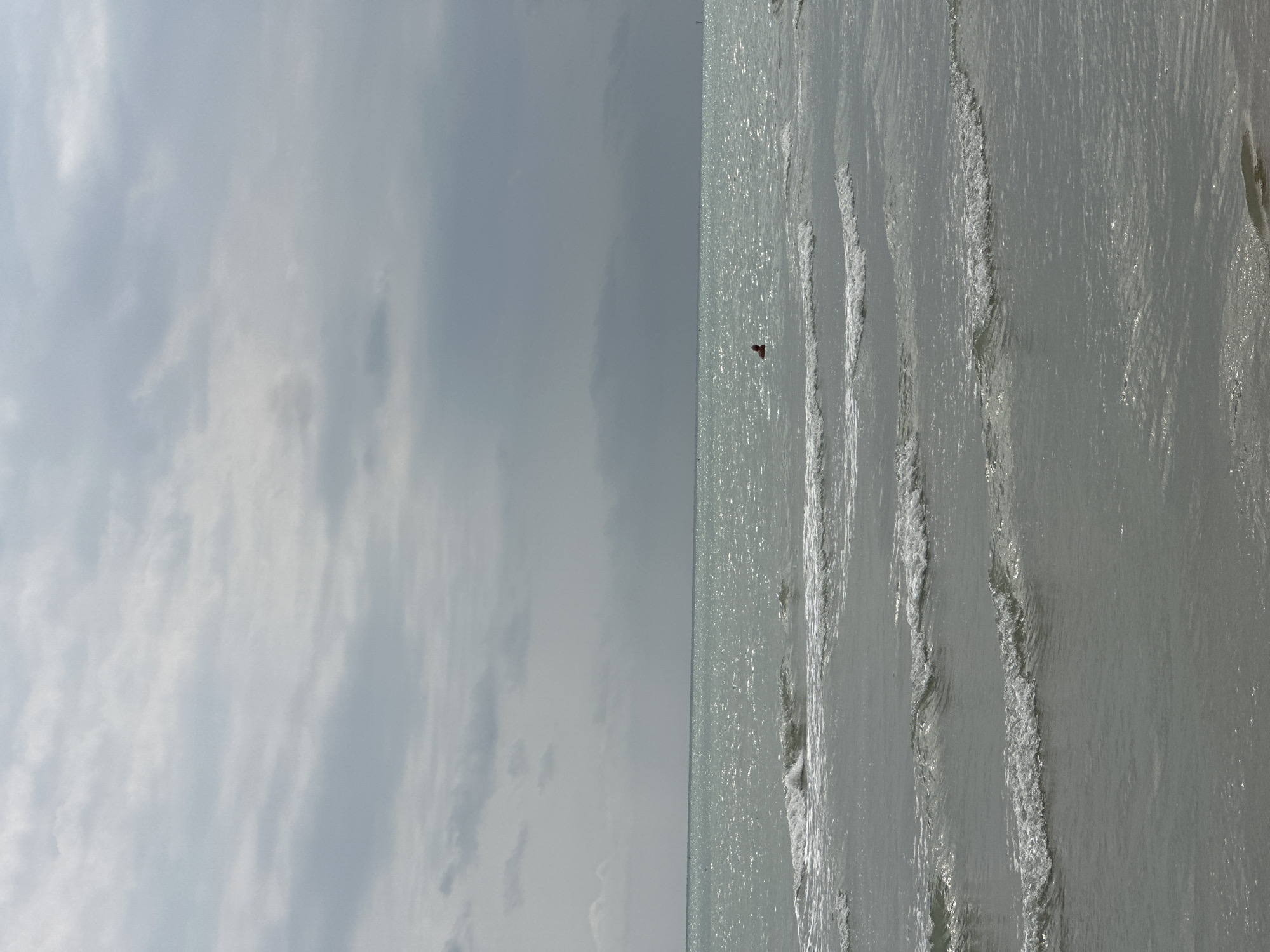 The image shows a view of the Adriatic Sea on a cloudy day. The sky is overcast with layers of gray clouds. The sea is choppy with several lines of waves rolling towards the shore. The water is a pale, greenish-gray color and reflects the diffused light from the sky. In the middle distance, a single person is visible in the water, appearing to be swimming or wading, with only their head and shoulders above the surface. The person is wearing a red top. The foreground shows the shallow water near the beach, with the sandy bottom faintly visible through the waves. The overall impression is a tranquil but slightly somber beach scene, likely in Pineto, Italy, given the typical coastal geography and weather patterns of the region.