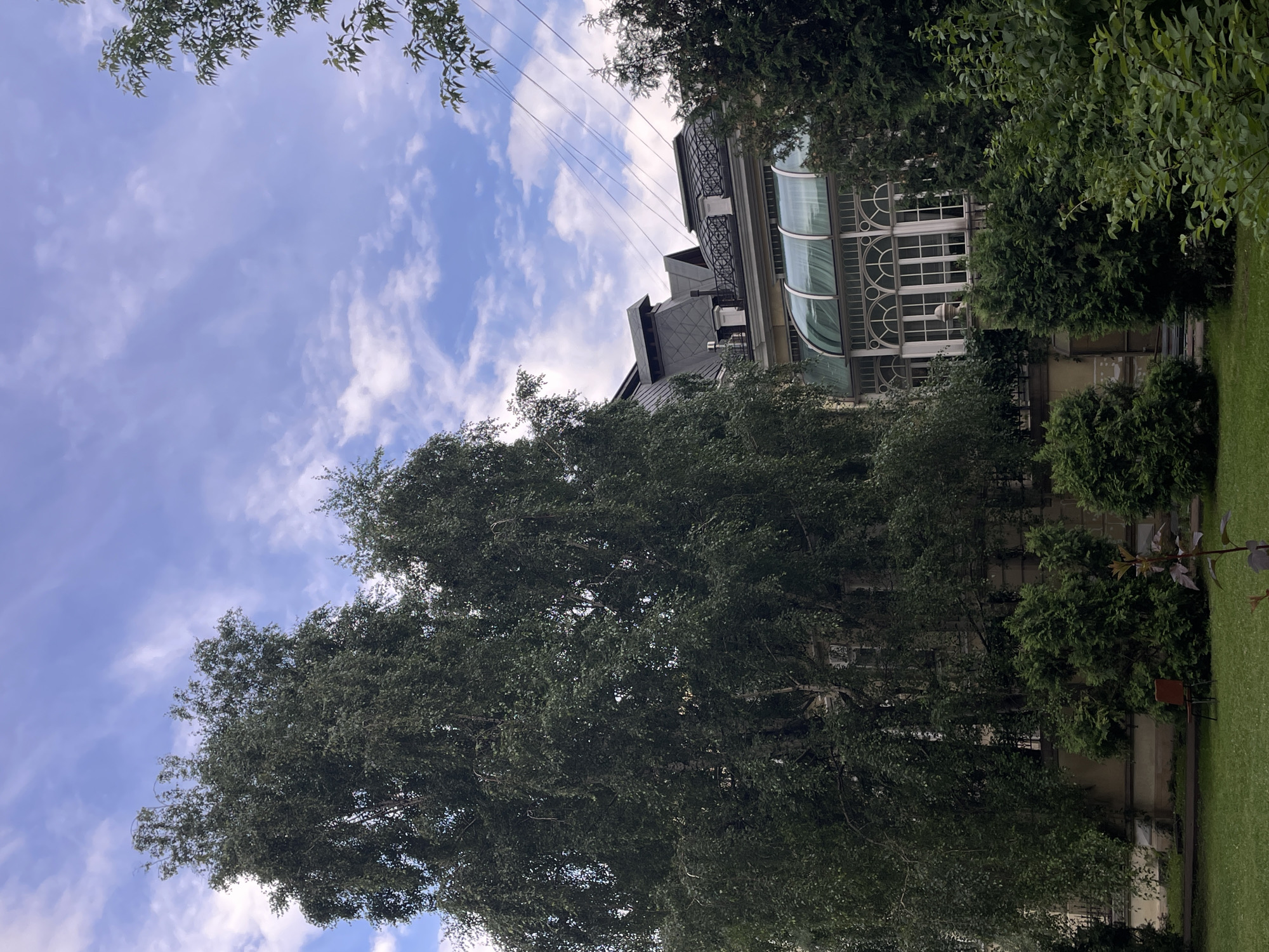 This media file captures an outdoor scene with a focus on a building and surrounding greenery, set against a cloudy sky. The building features a distinctive curved glass section with arched windows, likely a conservatory or a modern extension to an older structure. The architecture suggests a sense of elegance and possibly historical significance.
Lush trees and manicured bushes frame the building, creating a natural and somewhat secluded atmosphere. A well-maintained lawn is visible in the lower right portion of the image. The sky is partly cloudy, with patches of blue visible between the white clouds, indicating daytime. Overhead, thin wires stretch across the frame, suggesting the presence of power lines or telephone lines in the vicinity, which might be a subtle indication of urban or suburban surroundings.
The image does not depict any people or discernible activity. The lighting suggests it is daytime, possibly late morning or afternoon, with soft, diffused light. The overall impression is one of tranquility and a blend of nature and architecture. There is no visible text in the image. The context of Moscow, Russia, suggests this could be a garden within a park, a historical estate, or a residential property in the city.