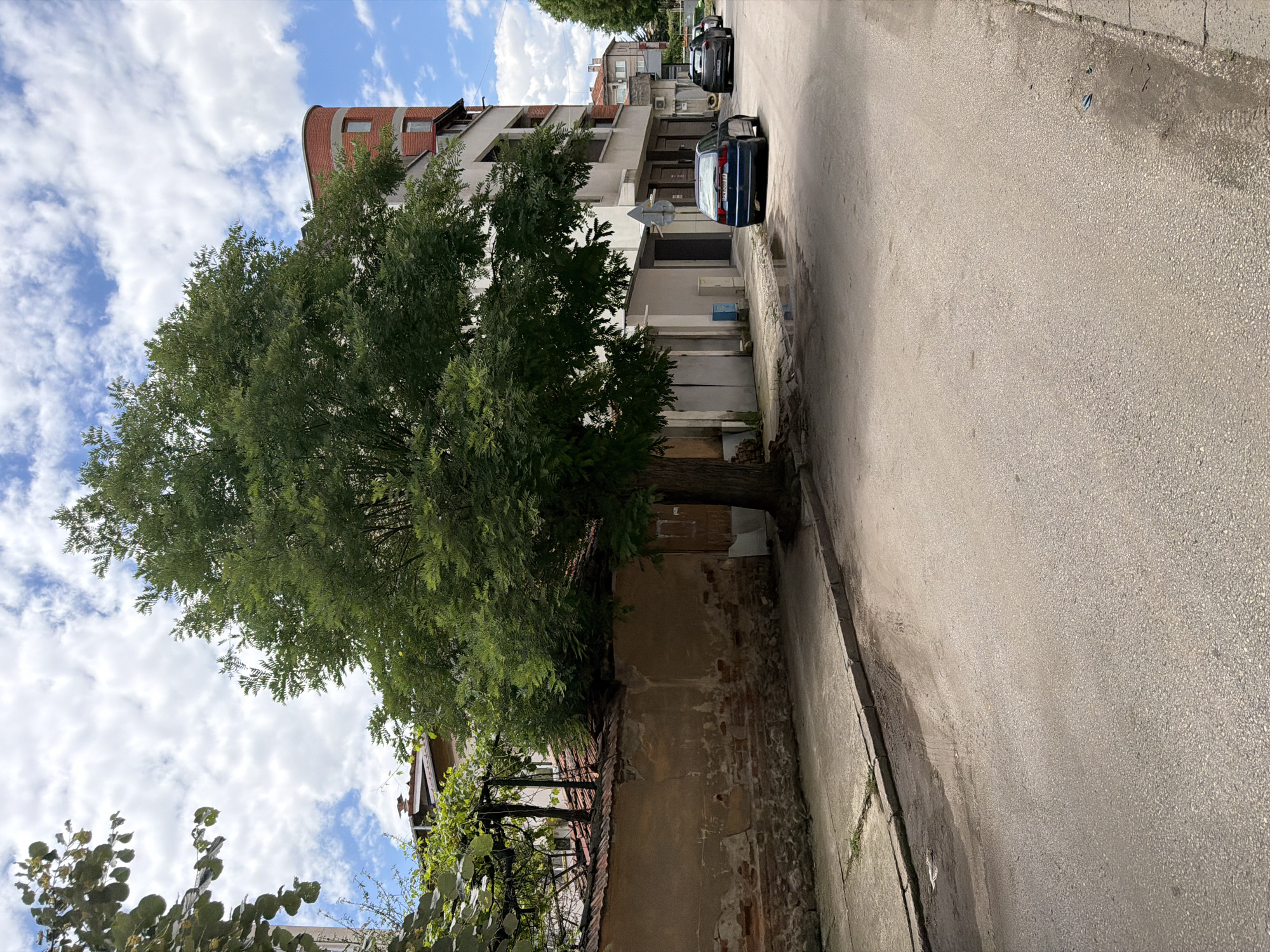 An eye-level, full shot captures a street in Pazardzhik, Bulgaria, with a large tree dominating the center of the frame. The tree, with its dense green foliage, stands on the left side of the road, casting a shadow on the asphalt. A weathered, beige wall with visible brickwork runs along the left side of the street, extending from the foreground to behind the tree.
To the right of the tree, a modern, multi-story building with a curved red-brick facade stands out. The building has several windows and balconies. Several parked cars are visible on the street, including a dark blue sedan and a gray hatchback. The road itself is paved and shows signs of wear, with a puddle of water near the curb. The sky above is blue with scattered white clouds. In the background, more buildings and trees can be seen, suggesting a residential or mixed-use urban area. The overall impression is a typical street scene on a cloudy day.