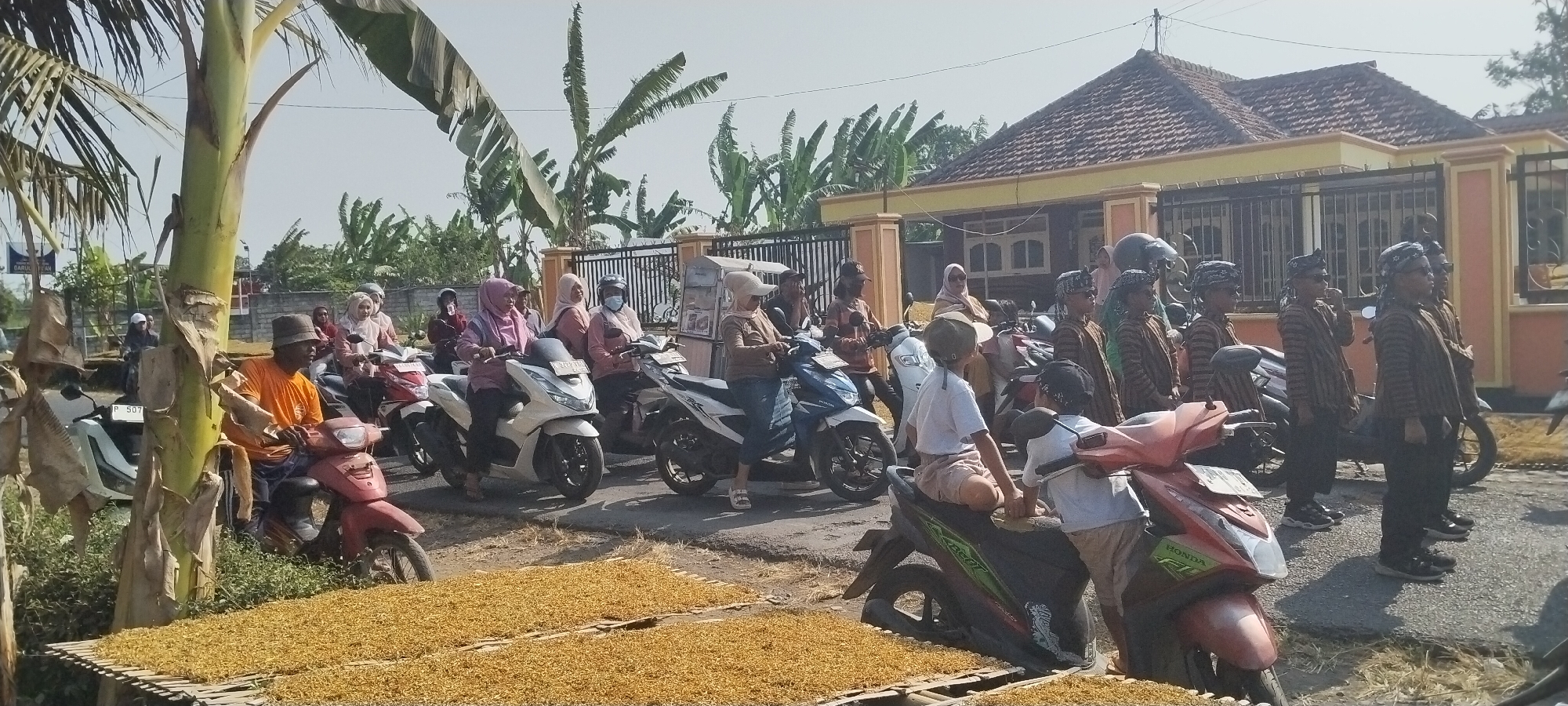 In the village of Yosowilangun Kidul, Indonesia, a procession of motorcycles is seen on a paved road. Several individuals, including men, women, and children, are mounted on the motorcycles. Some of the men are wearing traditional striped clothing and headscarves. A man in an orange shirt is sitting on a red motorcycle, looking to the left. In the foreground, bundles of dried yellow material are laid out on bamboo mats. In the background, a house with an orange tiled roof is visible, as well as a black metal fence and lush green vegetation, including banana trees. The sky is clear and bright, suggesting a sunny day.