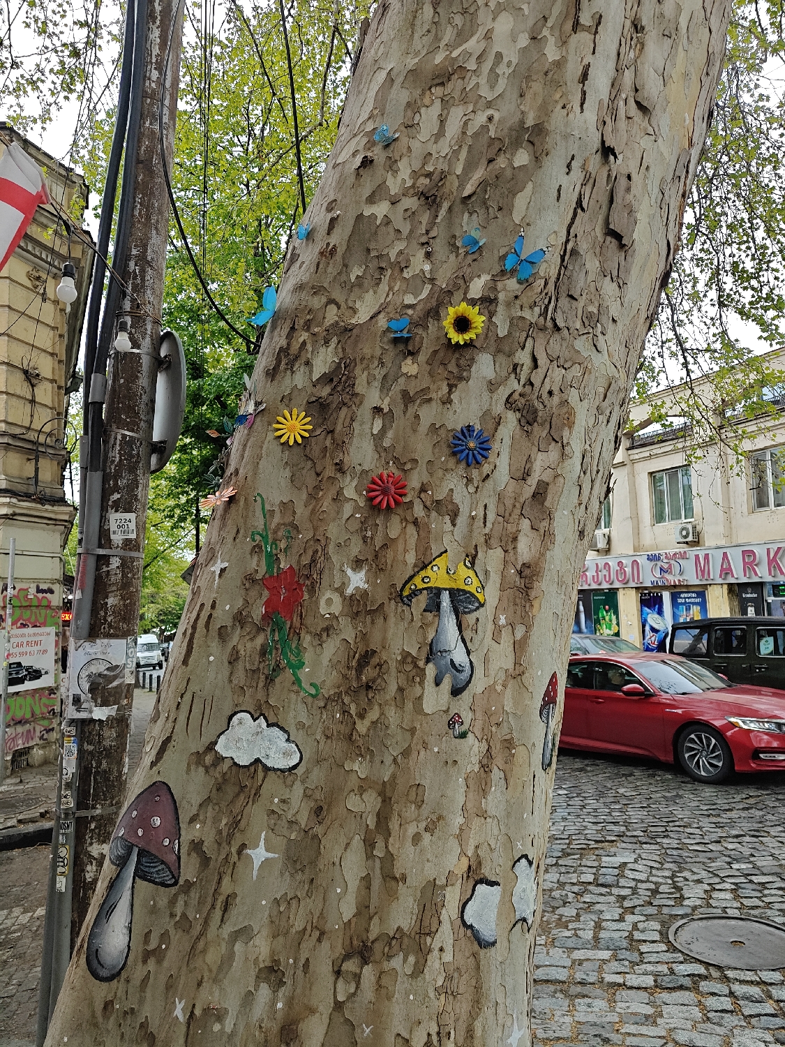 This daytime street scene in Tbilisi, Georgia, is dominated by a large, mottled-bark tree trunk in the foreground, brightly decorated with both attached objects and painted art. The tree features numerous small, three-dimensional blue butterflies and colorful plastic flowers in yellow, blue, and red. Complementing these are hand-painted elements, including various mushrooms (large red and yellow-capped ones with white dots, and smaller ones), whimsical white clouds, and scattered white stars, along with a painted red flower and green stems. The overall effect is one of playful street art.
Behind the tree, on the left, a utility pole is visible with numerous wires, streetlights, and attached signs. One sign clearly reads "CAR RENT" and provides a phone number: "555 599 67 77 09". A building further left exhibits an older architectural style and displays a red and white flag, characteristic of Georgia's national flag.
To the right of the tree, a cobblestone street stretches into the background. A red sedan is parked or driving on this street, with a dark SUV visible behind it. Buildings line the street, one of which prominently features large Georgian text reading "ქართული მარკეტი" (Georgian Market), with "MARKET" also visible in English. Lush green foliage from surrounding trees is visible in the background, suggesting a warm season. The scene captures a blend of urban infrastructure and local artistic expression.