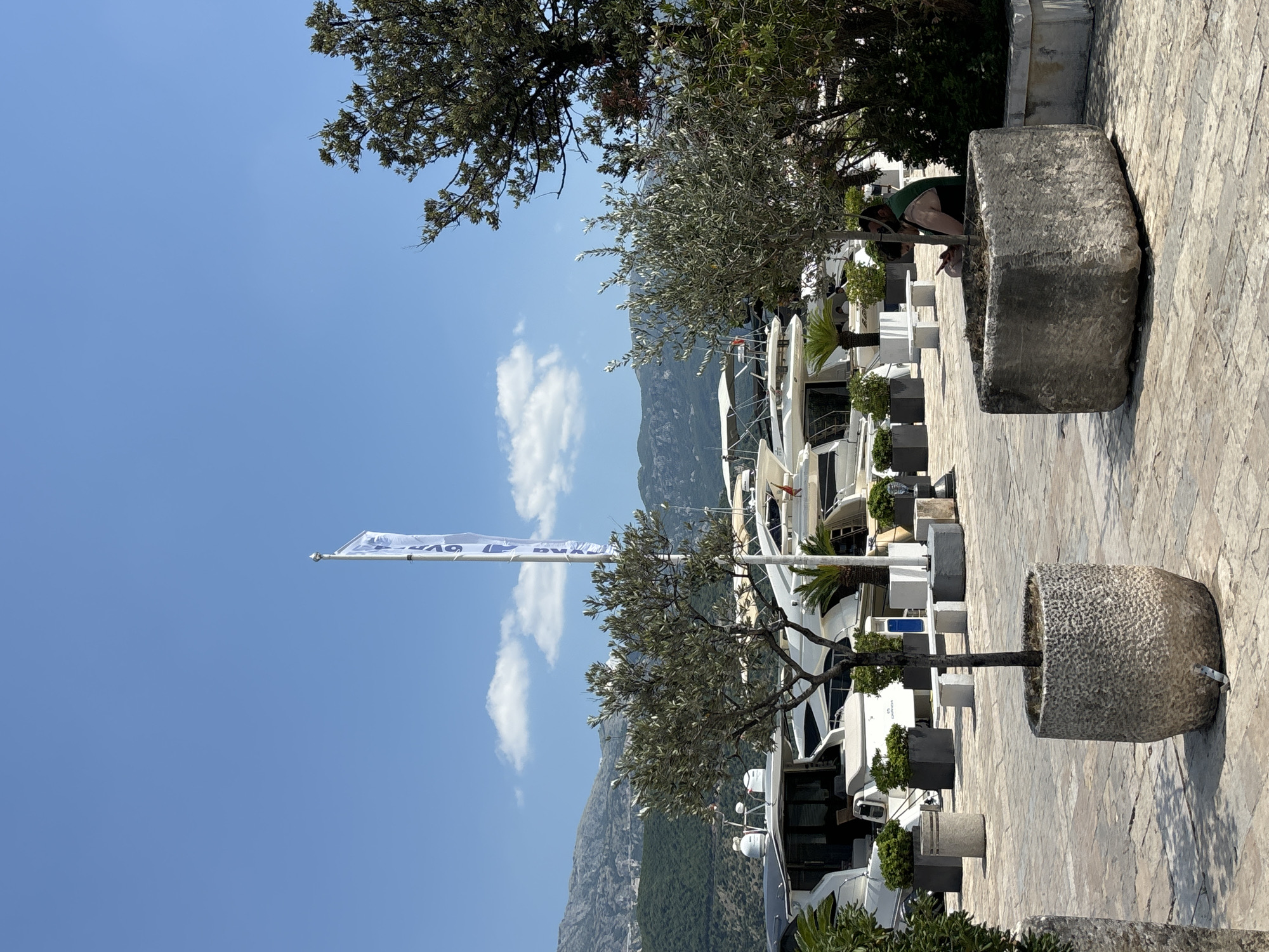 In Budva, Montenegro, the image depicts a marina scene under a clear blue sky with scattered clouds. In the foreground, a cobblestone plaza features several large stone planters. One planter holds a young olive tree, while another, a large, weathered, cubic stone planter, contains a tree and a person sitting inside it, looking at their phone. Behind these planters, a row of modern white yachts are docked. A tall white flag with blue lettering is prominently displayed in the middle ground. In the background, lush green mountains rise against the sky. The overall atmosphere is serene and sunny, indicative of a pleasant day at the coast.