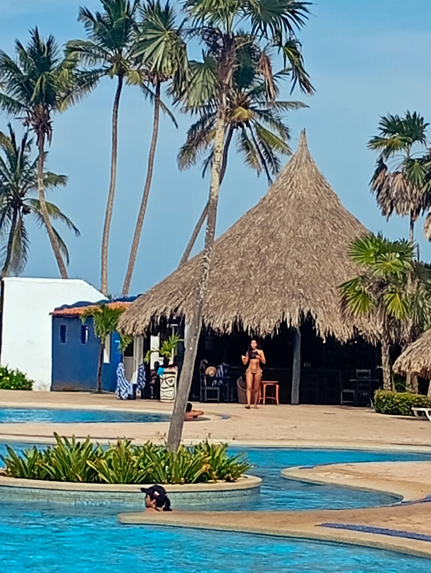 The image shows a scene at Playa El Agua, Venezuela. In the foreground is a turquoise swimming pool with a small, landscaped island in the center. A person's head, wearing a black cap, is visible above the water. Behind the pool is a sandy area with a large, thatched-roof structure, which appears to be a bar or restaurant. A woman in a bikini stands in front of the structure. Several palm trees are scattered throughout the scene. To the left of the thatched-roof structure is a small, blue and white building with a reddish roof. Other details include chairs and tables inside the thatched-roof structure, towels hanging near the blue building, and sparse vegetation around the buildings and pool. The sky is clear and light blue.