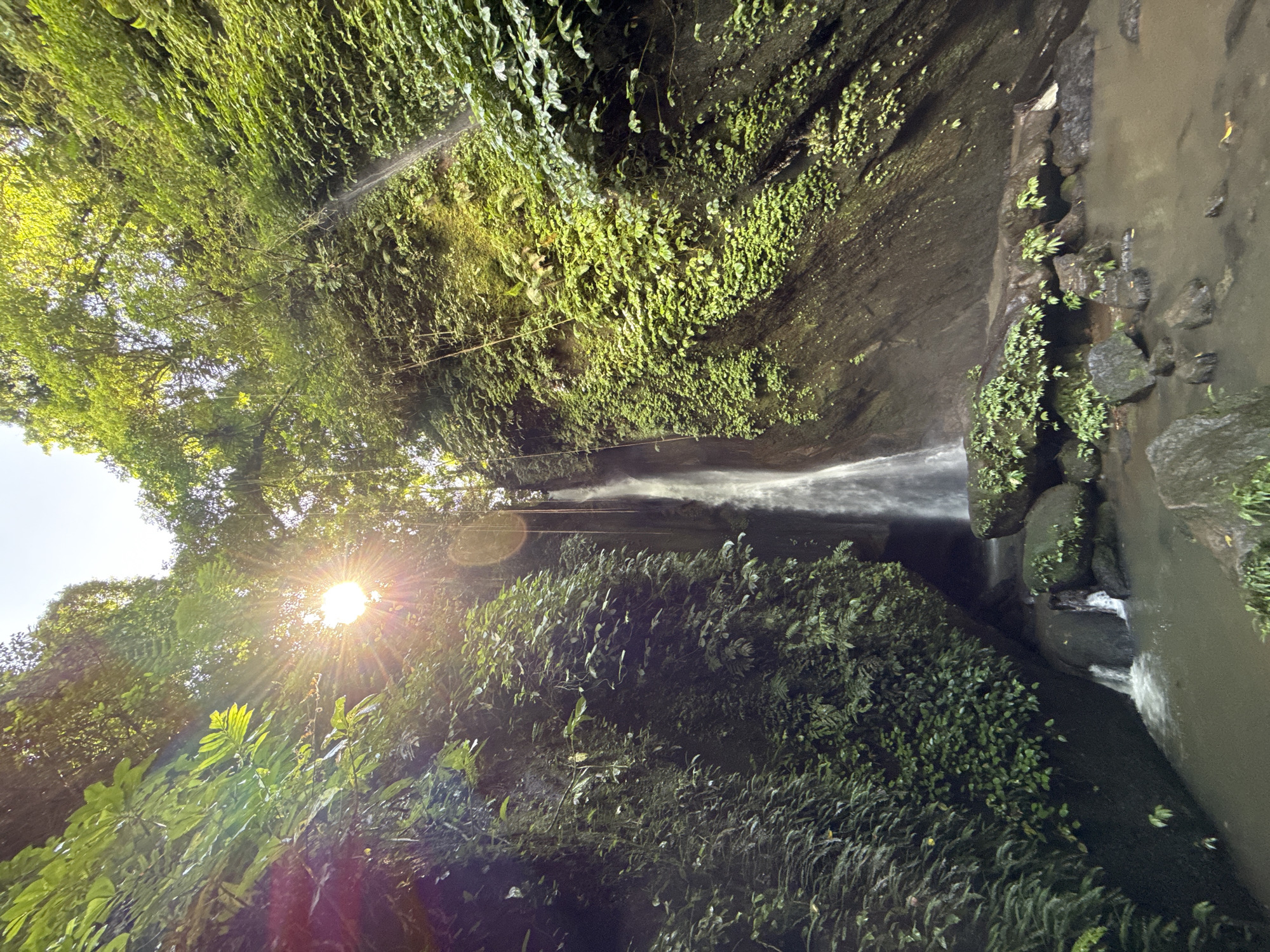 Captured at an angle, the image showcases a lush, verdant landscape. Vegetation densely covers both sides of what appears to be a natural ravine or gully, with a waterfall cascading down its center. Sunlight filters through the foliage from the top left, creating a lens flare. The waterfall itself is a ribbon of white amidst the dark rock and greenery. A pool of water collects at the base of the waterfall. The location is unspecified.