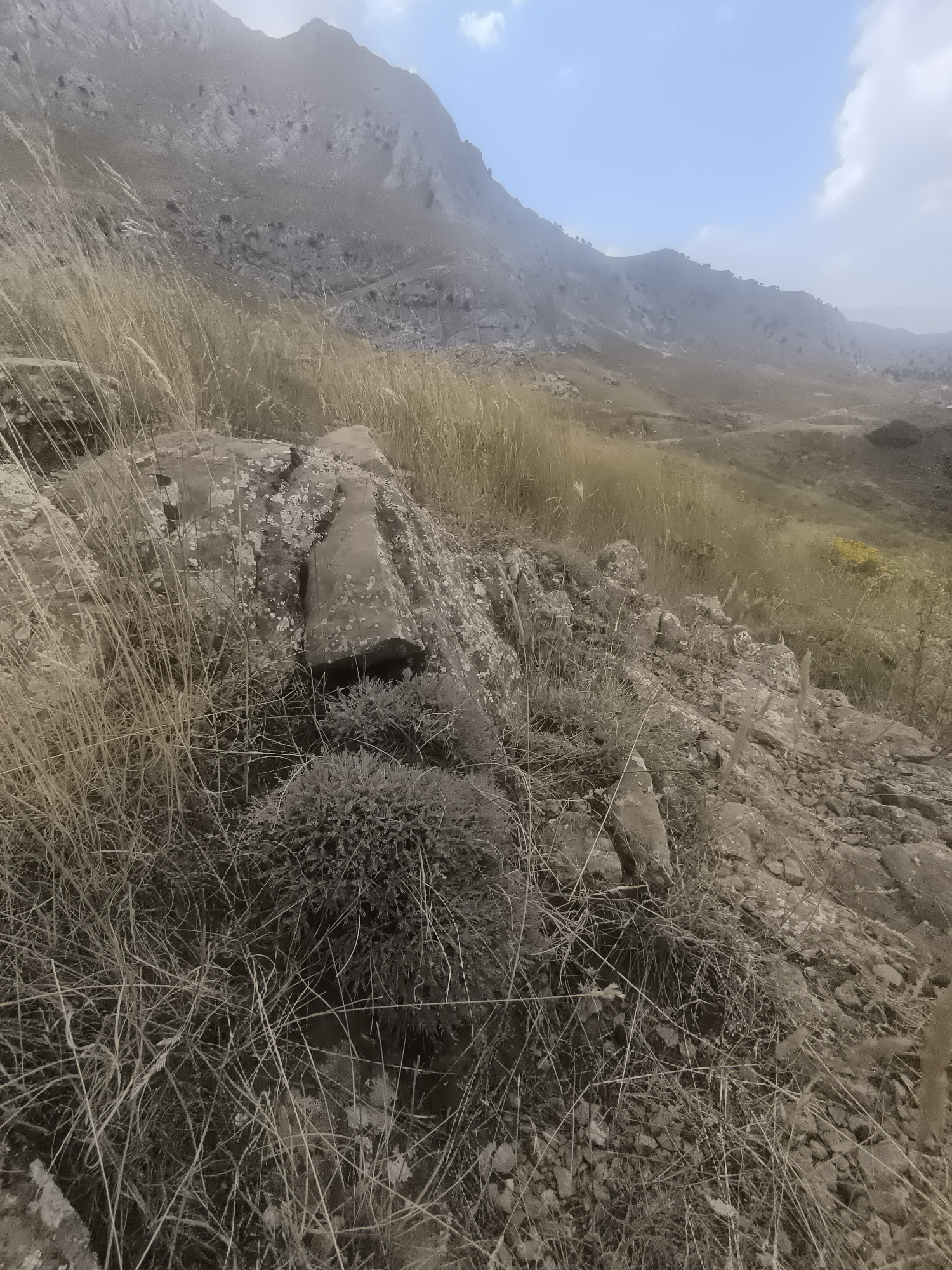 This is a wide-angle, eye-level photograph taken outdoors in a mountainous, arid landscape, likely in the vicinity of Konyaaltı, Turkey. The foreground is dominated by dry, straw-colored grass and rough, greyish-brown rocks, with a small, dense, dark green shrub in the lower center. The midground consists of a gentle slope covered in sparse, dry vegetation and scattered rocks, leading to a hazy, mountainous backdrop under a pale blue sky with wispy white clouds. The overall atmosphere is dry and somewhat muted, with the distant mountains appearing softened by atmospheric haze. There are no people, animals, or man-made structures visible in the frame.