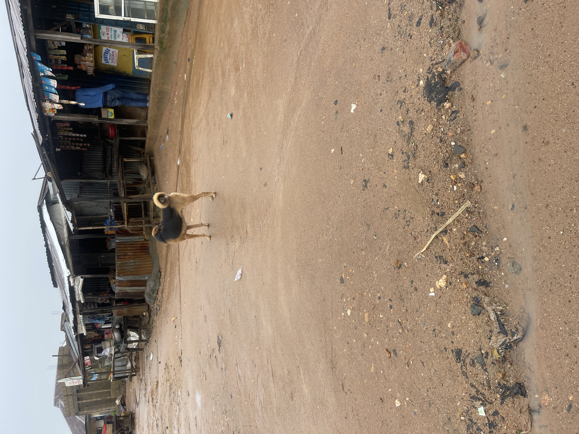 The image depicts a street scene in Rafin Par, Nigeria. In the foreground, a medium-sized dog with brown and black fur stands on a wet, muddy dirt road. The dog is facing away from the camera, looking towards a row of open-air shops lining the street. These shops have corrugated metal roofs and wooden structures. Various goods are displayed on shelves and tables outside the shops, including what appear to be packaged food items and household goods. One shop has a yellow sign with text that includes "ENNYBEE" and "SOLD HERE." A person wearing a blue jacket and dark pants is visible inside one of the shops. The ground is uneven, with scattered debris and puddles of water, suggesting recent rainfall. The sky is overcast.
