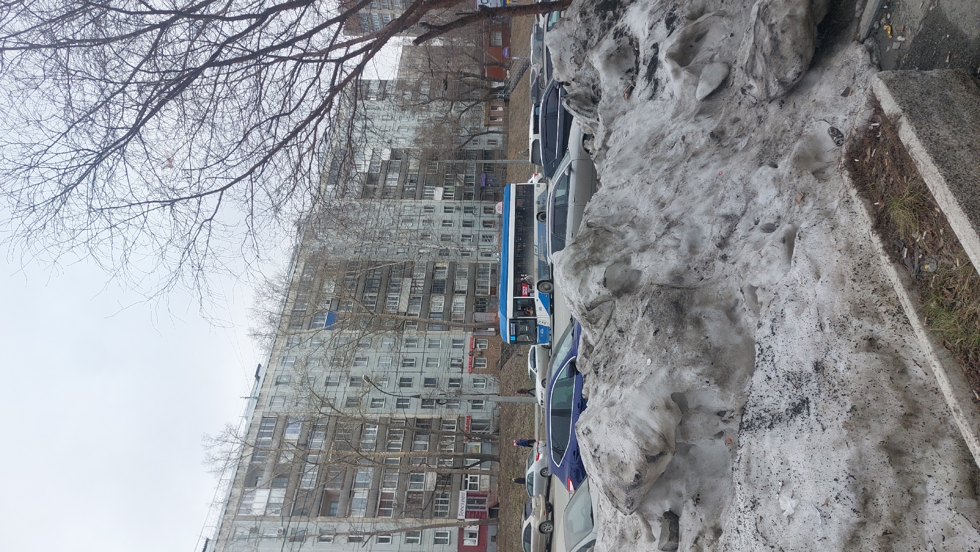 The image shows a street scene in Novosibirsk, Russia, during late winter or early spring. A large, multi-story apartment building with numerous windows dominates the background. Bare tree branches are visible in the foreground, obscuring portions of the building and the sky. Along the street, a row of parked cars is positioned next to a bus. A large pile of dirty, melting snow is present along the curb, adjacent to a concrete sidewalk. Several pedestrians are walking on the sidewalk.