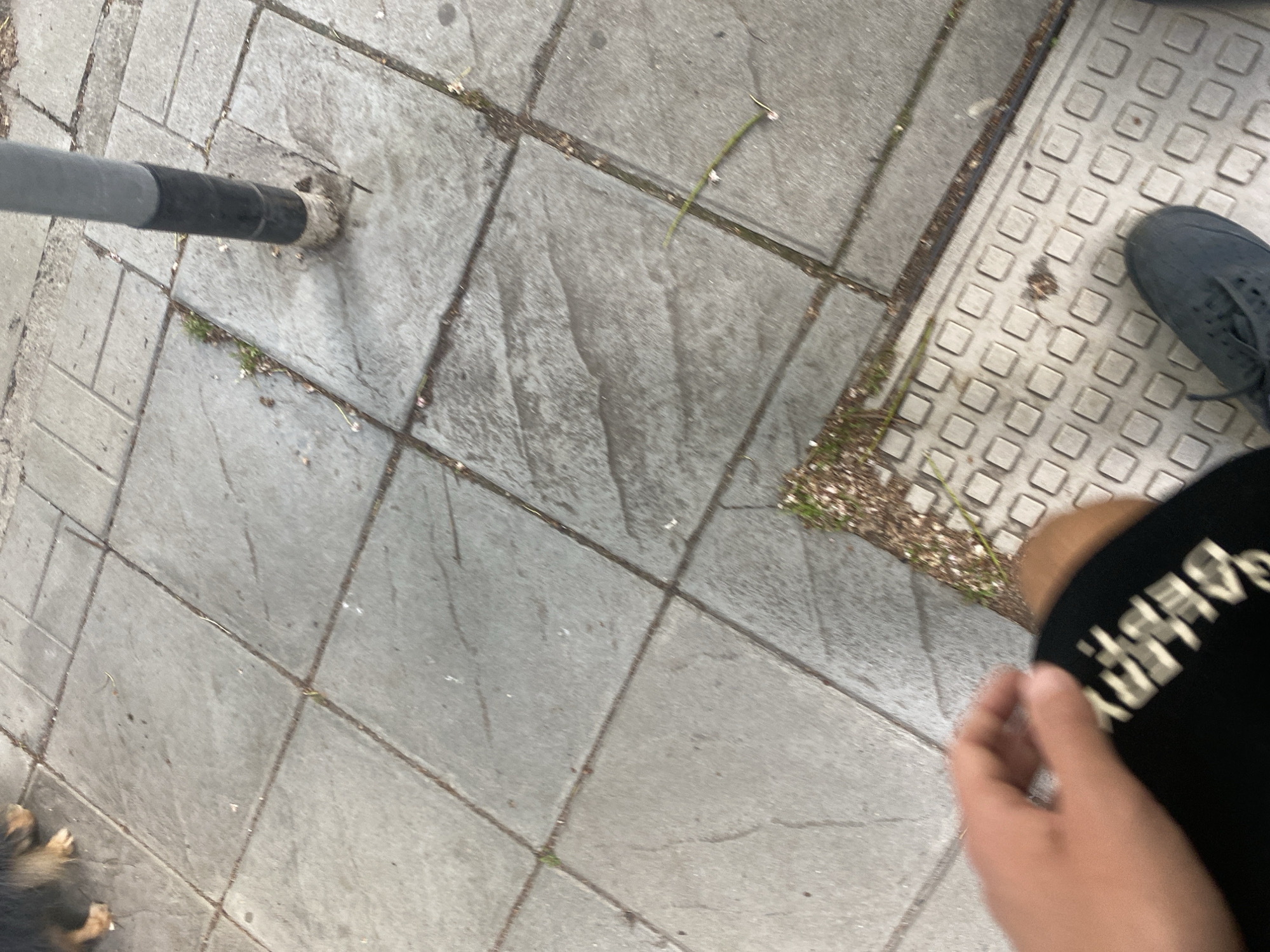 The image depicts a street scene, likely in Sofia, Bulgaria, due to the typical paving stones. A grey and black metal pole is anchored in the pavement. A section of tactile paving is visible, along with a foot wearing a dark blue sneaker. A person is present, wearing a black shirt with white lettering. Part of a hand is visible in the foreground. The surface is a mix of concrete slabs. The leg of a dog is partly visible.