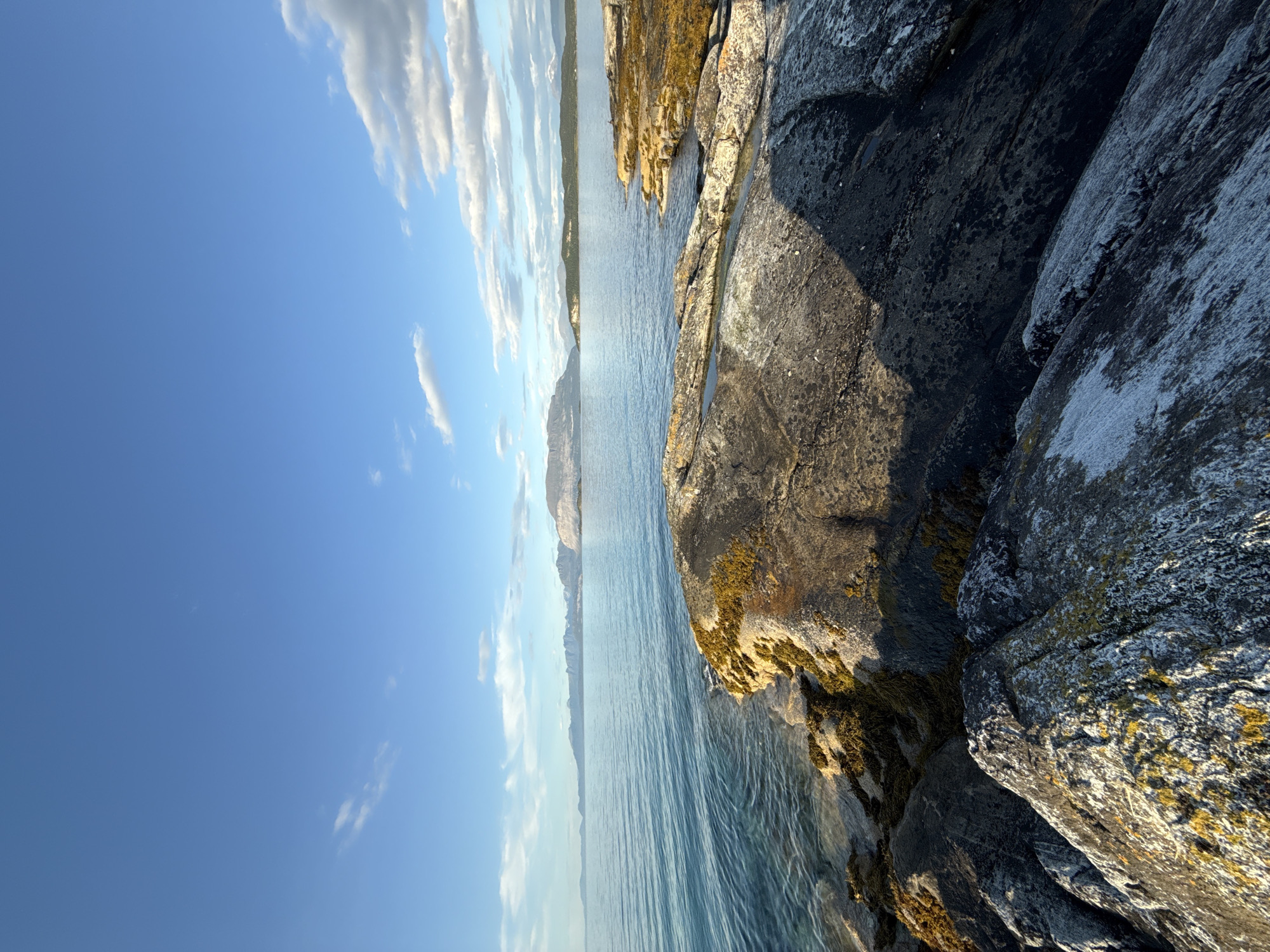 The image depicts a serene coastal landscape in Harstad, Norway. In the foreground, weathered, dark grey rocks are covered with patches of yellow and green lichen, indicative of their exposure to the elements. The water's edge laps at the rocky shoreline, revealing clear, shallow water over submerged stones. Beyond the immediate rocks, the sea stretches out, its surface rippling gently under a bright blue sky dotted with scattered white clouds. In the distance, a range of mountains, some appearing snow-capped, forms a dramatic backdrop to the horizon. The lighting suggests it is either early morning or late afternoon, with the sun casting long shadows across the rocks and illuminating the distant peaks. There are no people or animals visible in the scene.