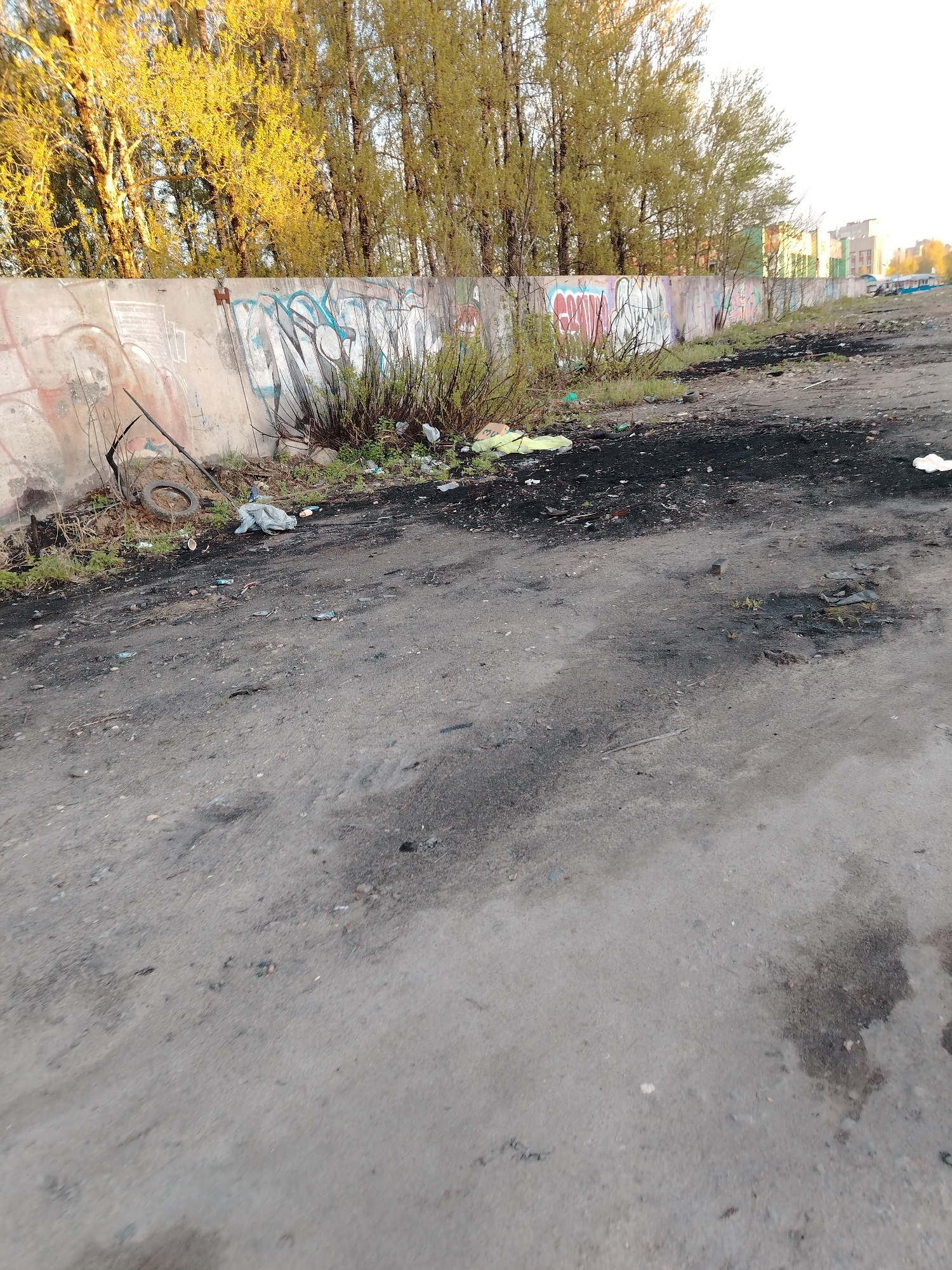 The image depicts a desolate urban scene, likely in the city of Заволжье, Russia, given the prompt. The foreground is a rough, grey, asphalt-covered ground, heavily stained with dark patches that may be oil or other dark substances. The ground shows signs of wear and tear, with small cracks and debris scattered across it.
In the mid-ground, a low, concrete wall extends horizontally across the frame. The wall is covered in graffiti of varying colors and styles. Some sparse vegetation, including weeds and small bushes, grows along the base of the wall, partially obscuring the graffiti. Discarded trash, including plastic bags and other debris, is interspersed with the vegetation. To the left, a tire is partially visible among the debris.
In the background, a row of trees with bare branches is visible above the wall, their leaves a pale yellowish-green suggesting either early spring or late autumn. Buildings can be seen in the far background, obscured by the trees. The sky is overcast, contributing to the bleak atmosphere of the scene. The overall impression is one of neglect and urban decay.