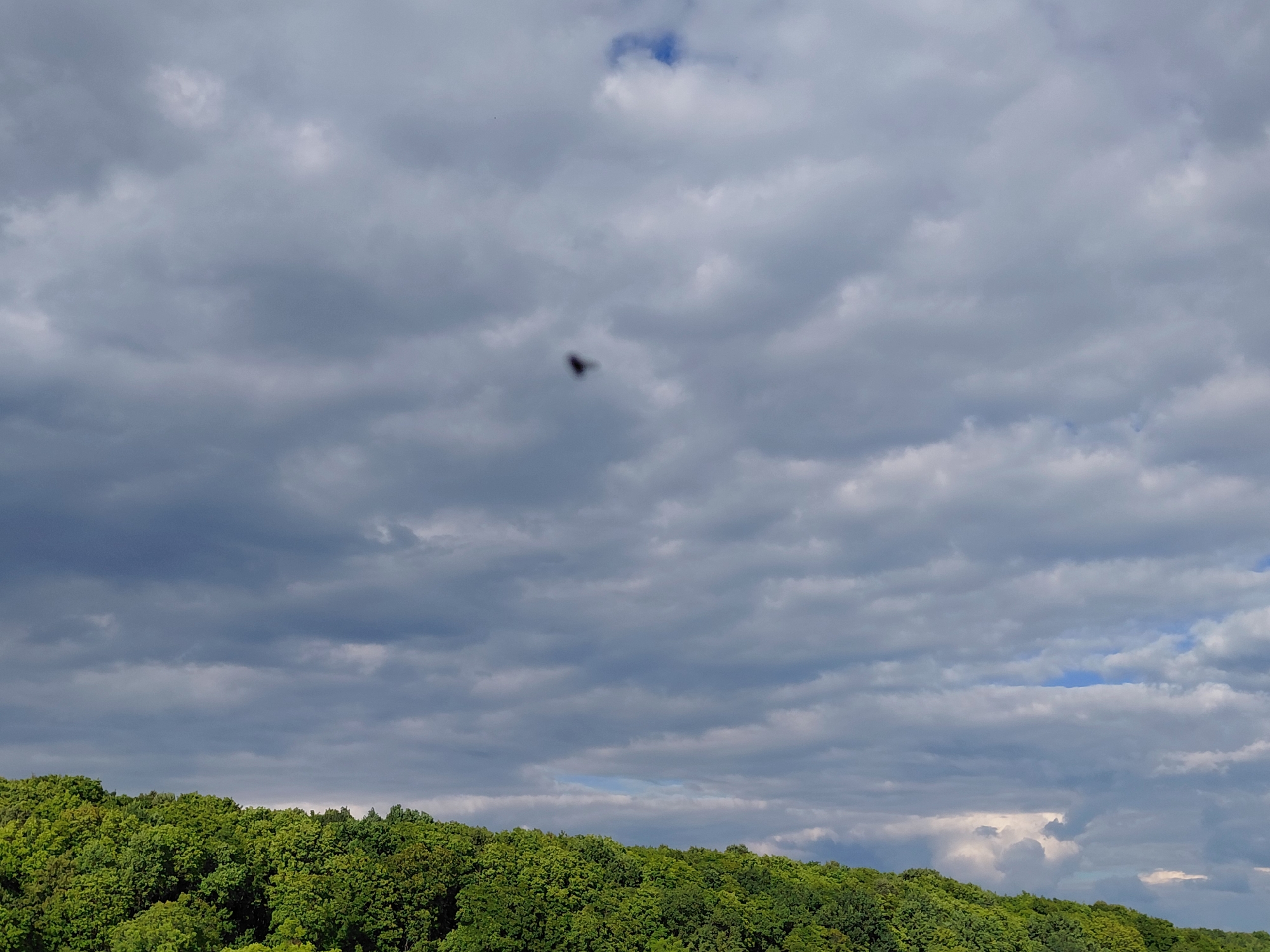 An aerial view shows a dense forest of lush green trees under a cloudy sky. The clouds are a mix of gray and white, with patches of blue sky visible. A small, dark object, possibly a bird or insect, is captured in mid-flight in the upper portion of the image. The horizon line where the trees meet the sky is jagged and uneven, typical of a forest canopy. The scene appears to be a natural landscape, devoid of any urban structures or signs of human activity within the frame. The image's quality suggests it was taken with a handheld camera, with the distant object appearing slightly out of focus.
