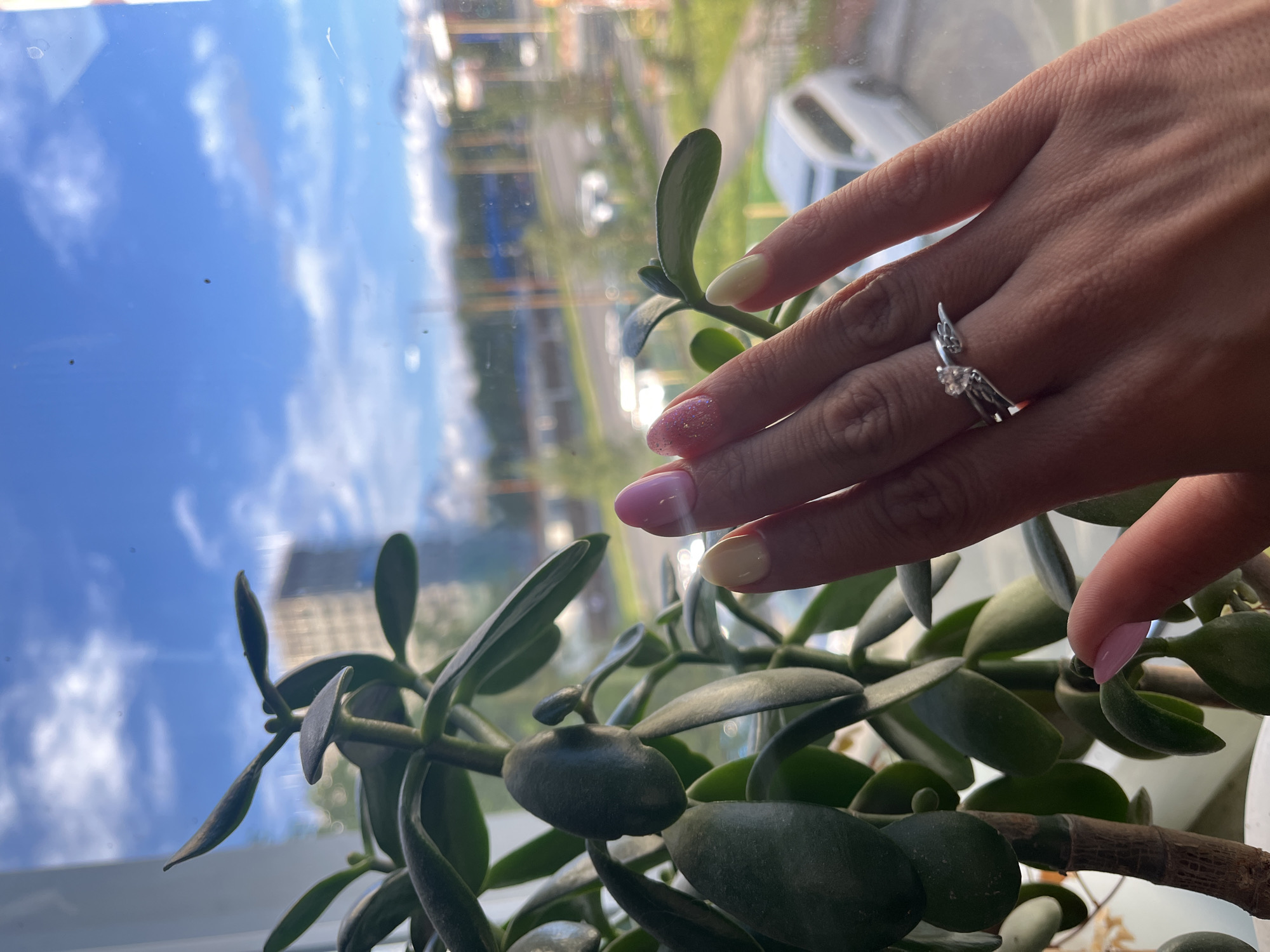 The image shows a close-up of a woman's hand, adorned with a ring and manicured nails, reaching towards a jade plant positioned by a window. Through the window, a cityscape is visible, with buildings, trees, and a street with a white vehicle. The sky is blue with scattered clouds, indicating daytime. The scene suggests an indoor setting with a view of the outside world. The location is described as Petropavlovsk-Kamchatsky, Russia, implying the specific urban environment of that city.