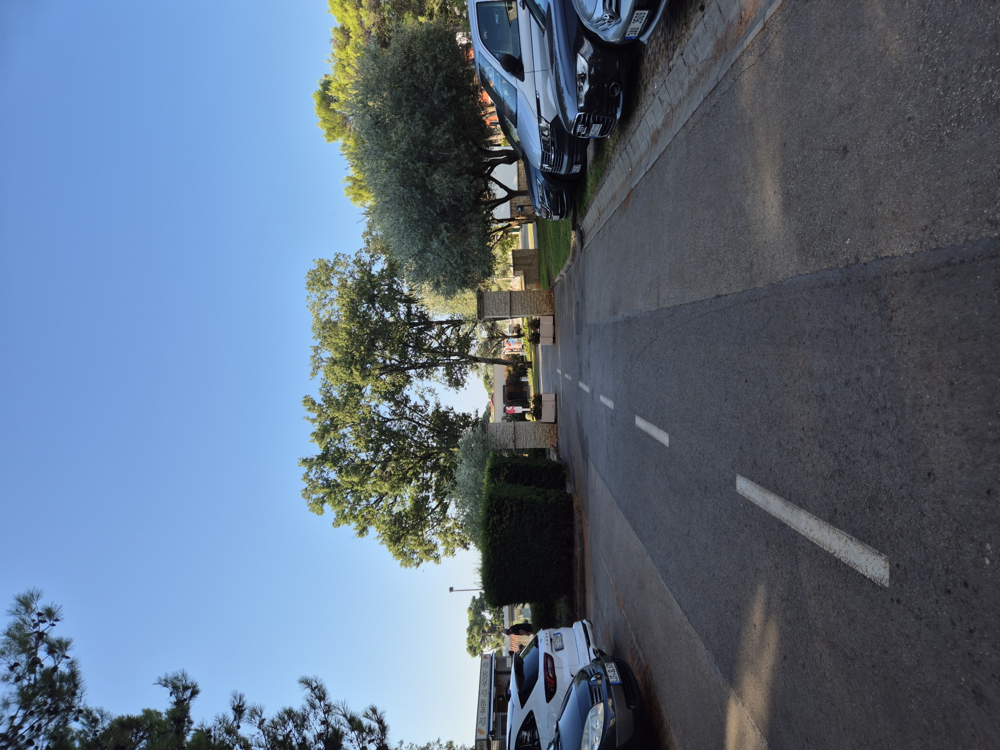 The image captures a street scene in Umag, Croatia, on a clear day. A paved road with white dashed lane markers runs diagonally from the foreground towards the background. On the left side of the road, several cars are parked along the curb, including a dark sedan in the immediate foreground with a license plate reading "CL GF 678". Behind it, a white SUV is parked, its license plate visible as "ST 531RP". Further down the street, a row of manicured green hedges lines the left side, followed by a stone archway and more vegetation. On the right side of the road, a line of cars is parked, including a silver van and several dark sedans. One of the dark sedans has a license plate that is partially visible. Trees with green foliage, some appearing to be olive trees, are abundant throughout the scene, creating a lush, natural backdrop against the bright blue sky. In the distance, through the stone archway, a building with signage that appears to read "BAKERY" is visible. The overall impression is of a well-maintained street in a Mediterranean setting.