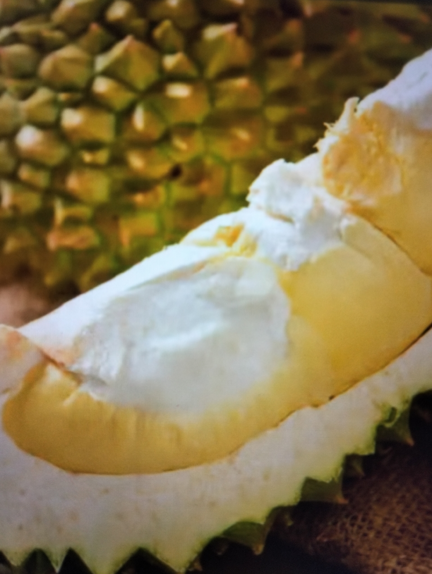 The image displays a close-up view of a durian fruit, with a section cut open to reveal its creamy, yellow flesh. The rough, spiky exterior of the durian is visible in the background, while the soft, edible part is in the foreground. The lighting suggests an indoor setting, possibly a market or kitchen, where the fruit is being prepared or displayed. The colors are dominated by shades of green, yellow, and white, typical of a durian. There are no people or specific environmental features that would indicate a particular location within Payagaboh, Indonesia.