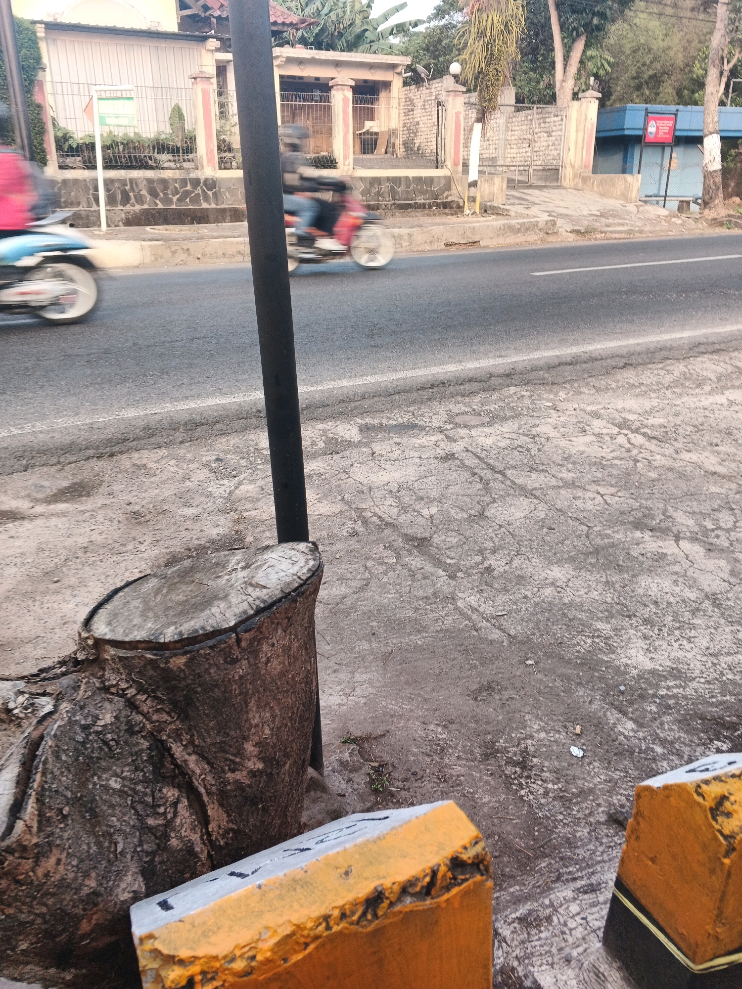 This image captures a street scene in Semarang, Indonesia, with a focus on elements of the urban environment and transient activity. In the foreground, the rough, cracked texture of a concrete sidewalk is visible, with a large tree stump, its bark weathered and textured, positioned prominently. Two concrete barriers, painted with orange and black stripes, are partially visible at the bottom right of the frame, suggesting a road demarcation or construction.
The middle ground depicts a paved road with a white line marking the lane. Two motorcyclists are captured in motion, their forms blurred due to the movement, indicating a bustling street. One motorcyclist on the left is wearing a red top, while the other on the right is in a blue top. They are traveling in the same direction.
In the background, a building with a pale facade and pillars stands behind a low stone wall. Adjacent to it, a blue structure with a red sign is visible, likely a shop or public facility. Lush green trees and vegetation are scattered throughout the background, contributing to the tropical urban setting. The lighting suggests it is either early morning or late afternoon, casting a soft, natural light over the scene. The overall impression is one of a typical street in a developing city, with everyday life unfolding against an urban backdrop.