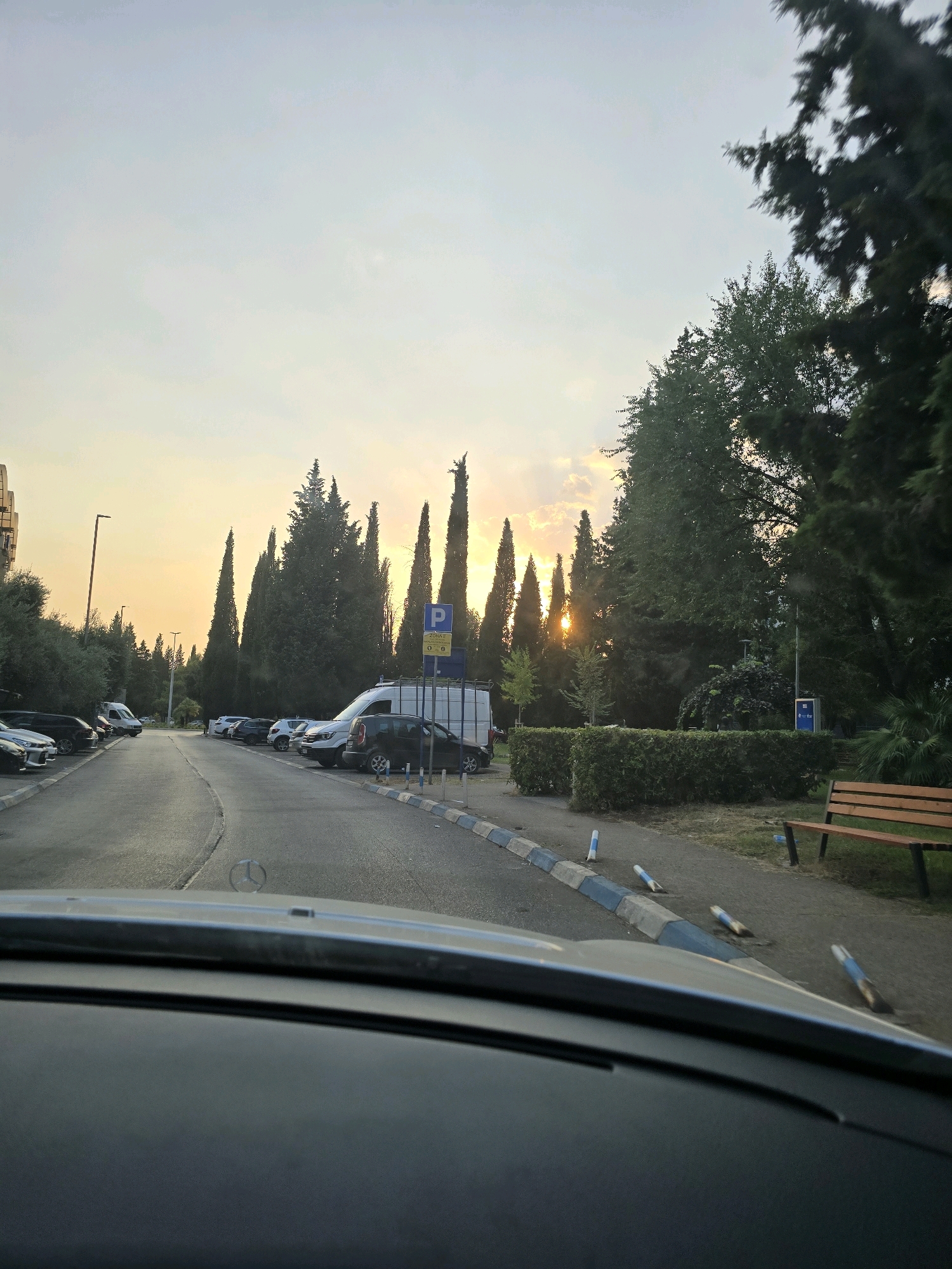 The image depicts a street scene in Podgorica, Montenegro, during sunset. Tall cypress trees line one side of the road, with lush green bushes and a wooden bench on the other. Several cars are parked along the street, and a white van is visible. A parking sign with a blue 'P' is posted near the trees. The sky is a soft gradient of yellow and orange, indicating the sun is setting behind the trees. The view is from the interior of a car, looking out through the windshield, with the car's dashboard and hood visible in the foreground.