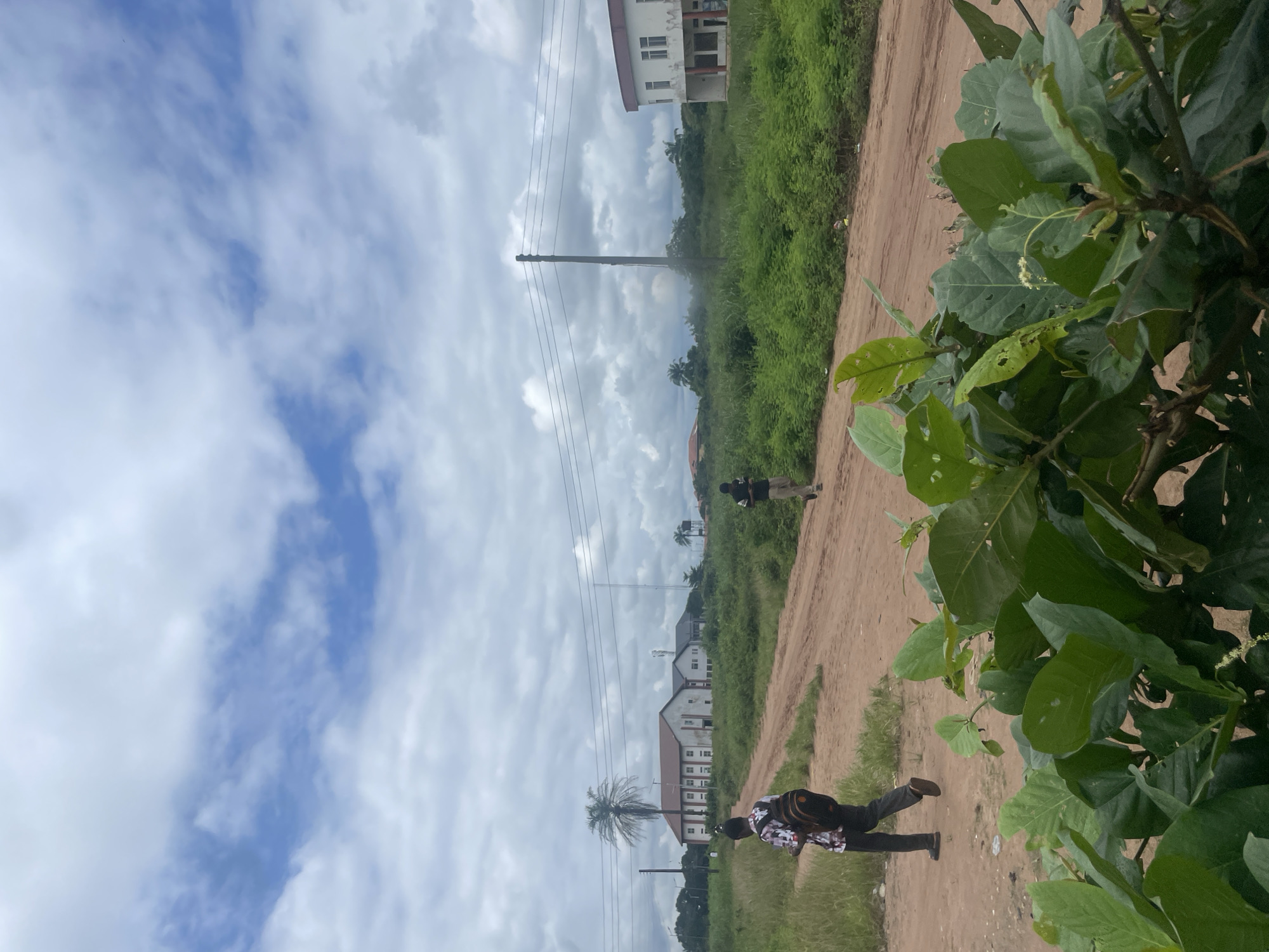 An outdoor, eye-level, medium shot captures a dirt road in Ihiagwa, Nigeria, under a cloudy sky. The road curves into the distance, flanked by overgrown green vegetation. In the foreground, large green leaves obscure the bottom portion of the frame.
Two young males are visible on the dirt road. The one closer to the camera, on the left side of the road, is walking away from the viewer and towards the background. He has dark hair and is wearing a patterned shirt and dark pants, with an orange and black backpack. The second male is further down the road, also walking away from the camera, towards the background on the right side of the road. He has dark hair and is wearing a black shirt and tan pants.
In the background, there are several buildings. On the left, a large, light-colored building with a red roof, featuring multiple windows and a prominent palm tree in front, stands amongst the greenery. Further to the right, another light-colored building with a red roof and white pillars is visible. Electrical poles and wires are present across the scene, suggesting infrastructure. The overall environment appears to be somewhat undeveloped or rural.