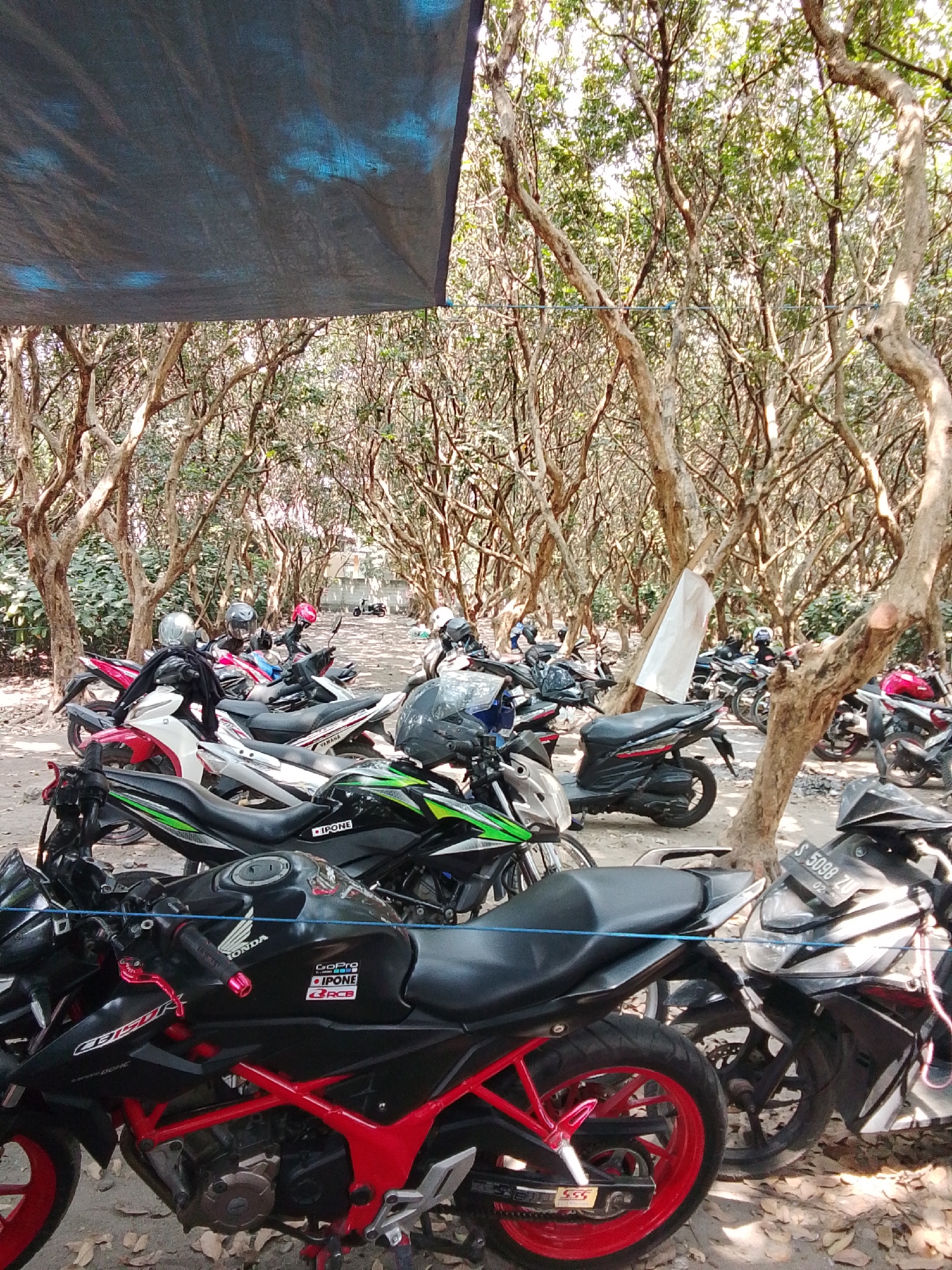 An outdoor parking area beneath a canopy of trees in Jogoroto, Indonesia, contains a number of motorcycles parked on a dirt surface. Several motorcycles are visible in the foreground and midground, predominantly black, red, and white. The motorcycles are parked closely together. A dark blue tarp is suspended overhead, casting shadows. The environment is characterized by numerous tree trunks and branches, with sparse green foliage visible in the background, suggesting a natural or semi-natural setting within the city. No people are clearly visible.