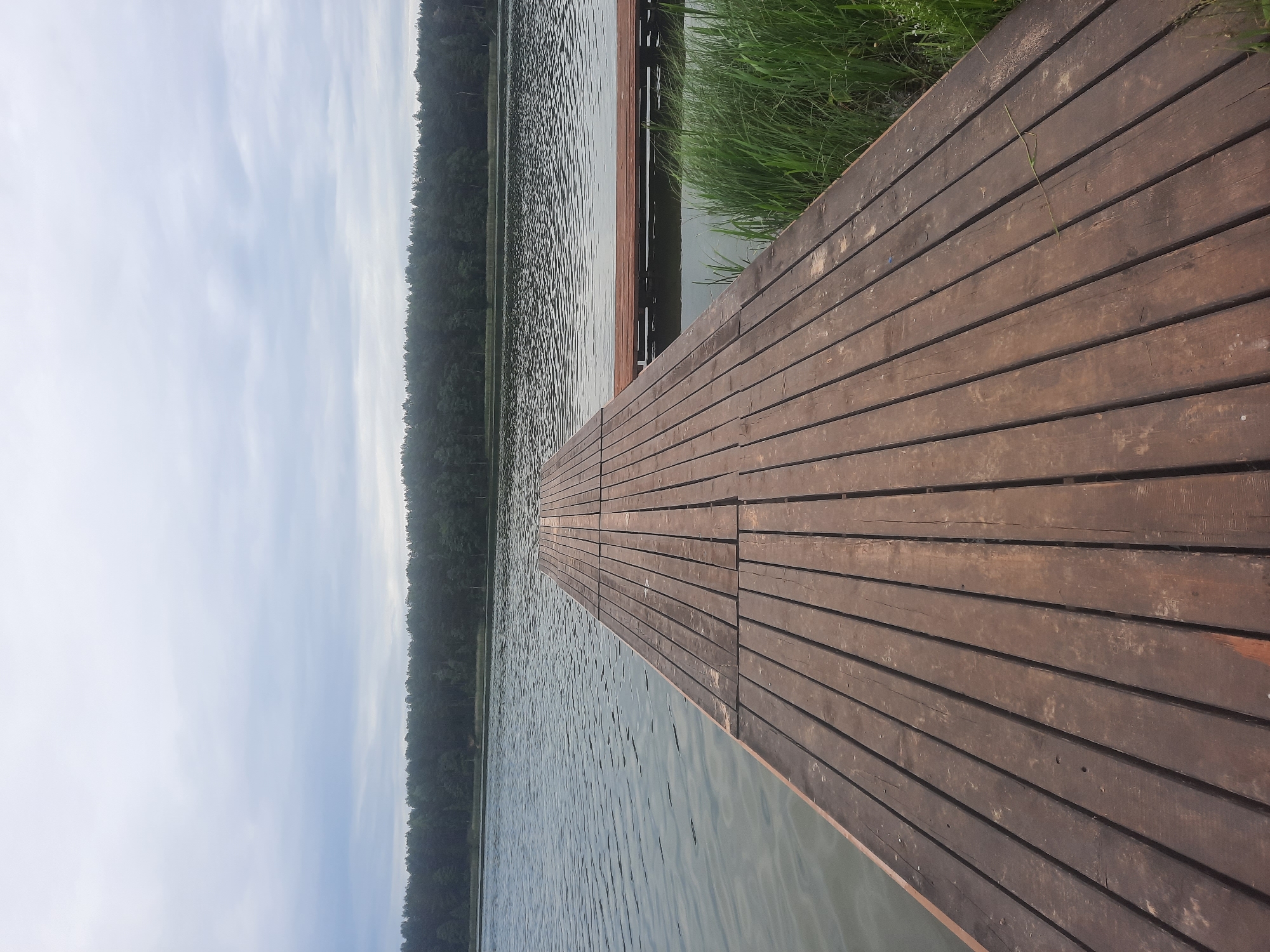 This is a landscape photograph of a wooden pier extending into a body of water. The pier is constructed from weathered, dark brown wooden planks laid horizontally, with a slight upward angle towards the right side of the frame. In the foreground, the pier dominates the right half of the image, showing texture and grain of the wood, with some slight gaps between the planks.
Beyond the pier, the water is calm with small ripples, reflecting the overcast sky. A dark green forest line borders the far side of the water. To the upper right of the image, tall green grass grows along the edge of the pier, suggesting a natural, possibly rural or park-like setting.
The sky is a pale blue with scattered white clouds, indicating a cloudy or overcast day. The time of day appears to be daytime, likely late morning or afternoon, given the soft, diffused lighting. The scene evokes a sense of tranquility and natural beauty.
There is no visible text in the image. The location context provided is Parėčča, Belarus. The photograph is oriented vertically, making the pier appear to extend diagonally from the bottom right towards the middle left.