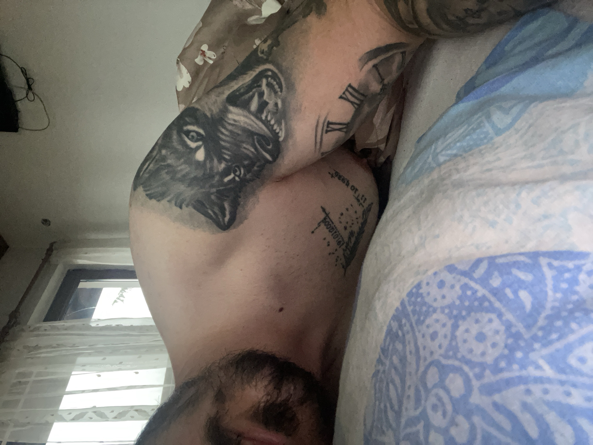 An eye-level shot captures a person, likely male, lying down indoors, possibly in a bed. The image is oriented sideways, with the person's head positioned towards the bottom center. A partial view of their face shows a dark beard, part of their nose, and a visible eye, suggesting they are looking upwards or slightly to the side.
The person's left arm and shoulder are prominent in the foreground, heavily adorned with tattoos. A large, detailed tattoo of a snarling wolf's head with bared teeth covers a significant portion of the upper arm and shoulder. Adjacent to it, further up the arm, is another tattoo depicting a clock face with Roman numerals, where "XII," "I," "II," "III," and "IX" are discernible. Below the wolf tattoo and closer to the torso, there's another tattoo featuring elements that resemble a cityscape or structures, along with a string of binary code "010101" and partially visible text that reads "seek or..."
The person appears to be resting against a blue and white patterned pillow or blanket, possibly featuring a mandala-like design. Behind their upper body, a brown pillowcase with white floral patterns is visible. In the background, to the left of the person's head, is a window covered by white sheer curtains or blinds, allowing natural light to filter into the room, suggesting it is daytime. A plain white wall and some black wires are visible in the upper left corner of the frame. The overall impression is a casual, intimate scene of someone relaxing in their bedroom.