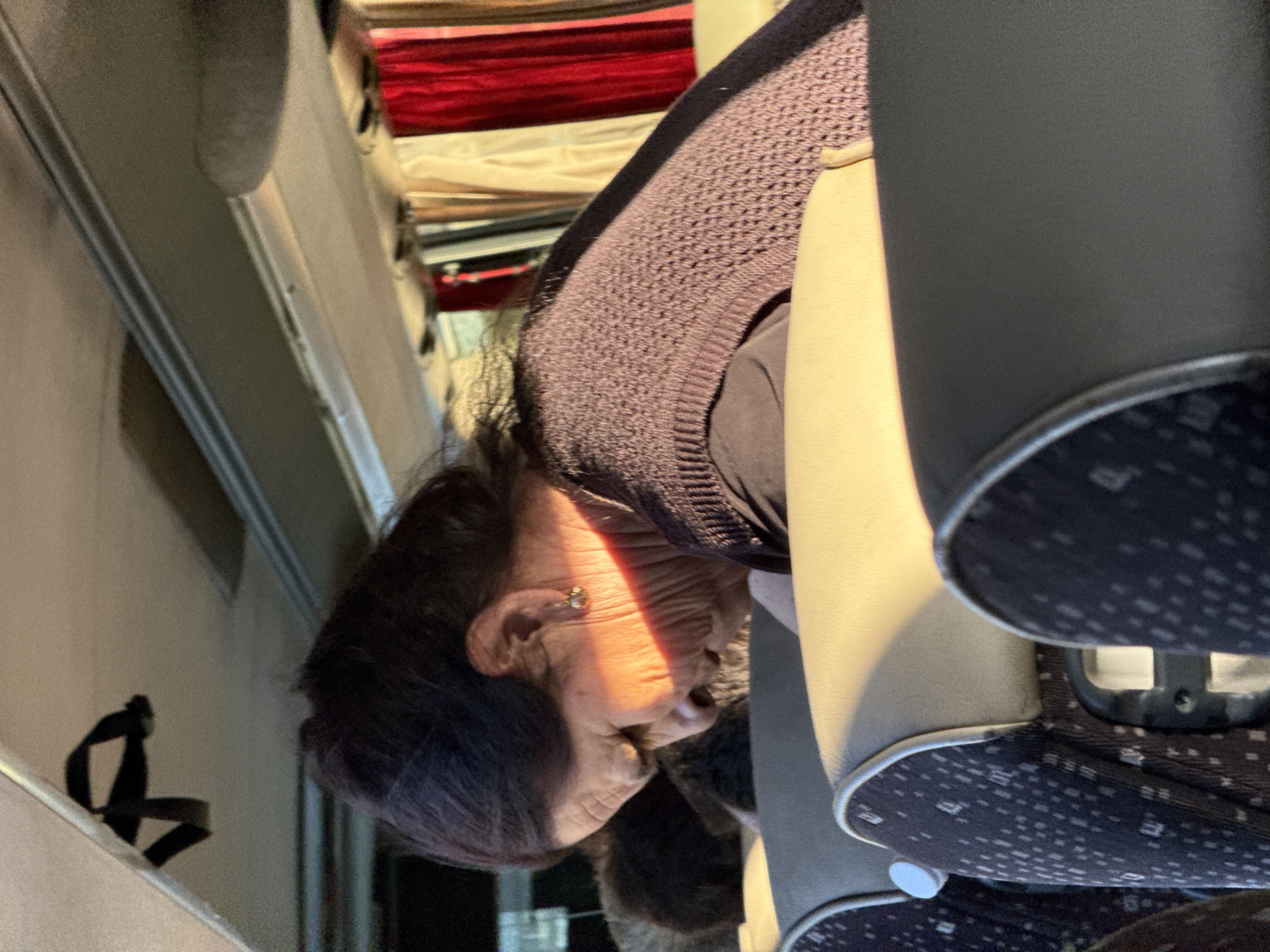 The image depicts an elderly woman with dark hair, wearing a dark knitted sweater, seated on a bus. Sunlight illuminates her face, highlighting wrinkles and a small earring on her right ear. The bus interior features beige and dark patterned seats, with red and cream curtains visible in the background. The environment suggests a daytime journey. There is no specific indication of the city of Omurtag, Bulgaria, within the image itself.