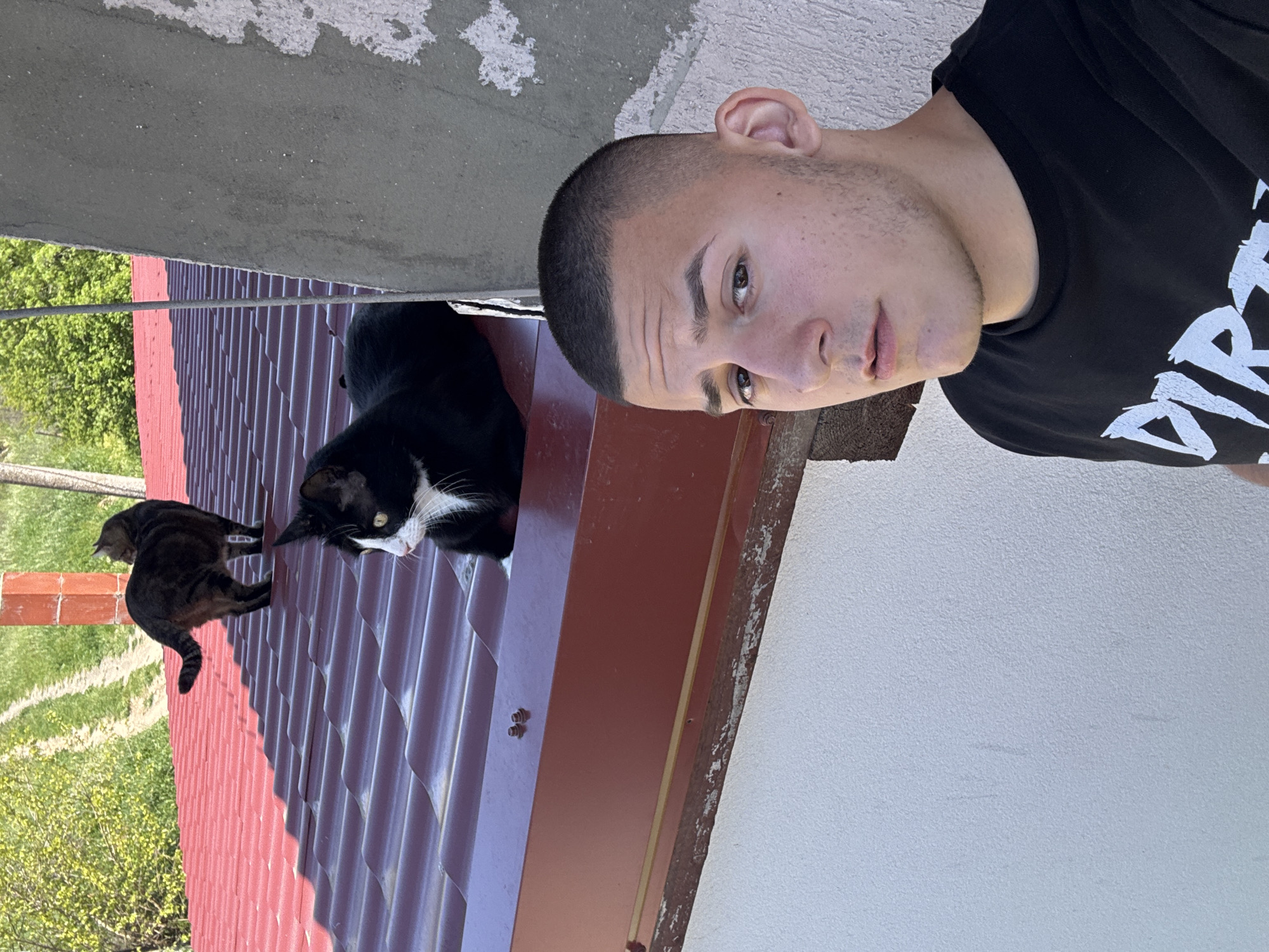 The image shows a man posing next to two cats on a corrugated red metal roof. One cat is tuxedo-patterned, and the other is tabby-patterned. The roof appears to be part of a building, with a white wall visible. In the background, there is greenery, which suggests the location is in a more rural area, consistent with the area around Goritsa, Bulgaria. A thin wire runs above the roof. The image appears to be a selfie or taken by someone at a close proximity. The man is wearing a black t-shirt.