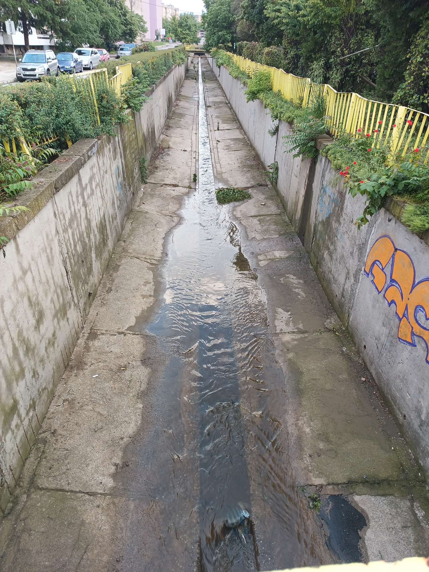 The image presents a long, concrete drainage ditch or canal in Karnobat, Bulgaria, viewed from an elevated perspective looking down its length. The ditch is bordered by concrete walls on both sides, which are topped by vibrant yellow metal fences.
Water flows through the central part of the channel, appearing somewhat murky and reflecting the overcast sky. Patches of standing water and damp concrete are visible on the floor of the ditch, particularly along the edges and in wider sections. Small pieces of debris, including a plastic bag and scattered vegetation, can be seen in the water and on the concrete banks.
Dense green bushes and other plants grow along the tops of the concrete walls and behind the yellow fences on both sides, with some red flowers notable on the right bank. Further back on the left, a street is visible with several cars parked, including a silver Skoda SUV, a blue sedan, and a white sedan. Beyond the cars, buildings and more trees are discernible in the background. On the right concrete wall, there is prominent orange graffiti with blue outlines, featuring stylized bubble letters or a tag; however, no specific words are legible.
The scene suggests daytime under an overcast or partly cloudy sky, indicated by the soft, diffused natural light and the reflections in the water. The setting is an urban or suburban environment, characterized by the infrastructure, parked cars, and residential buildings. The ditch appears to be a functional, utilitarian element within this landscape, somewhat overgrown in areas. No people are visible, and besides the graffiti, there is no discernible text.
