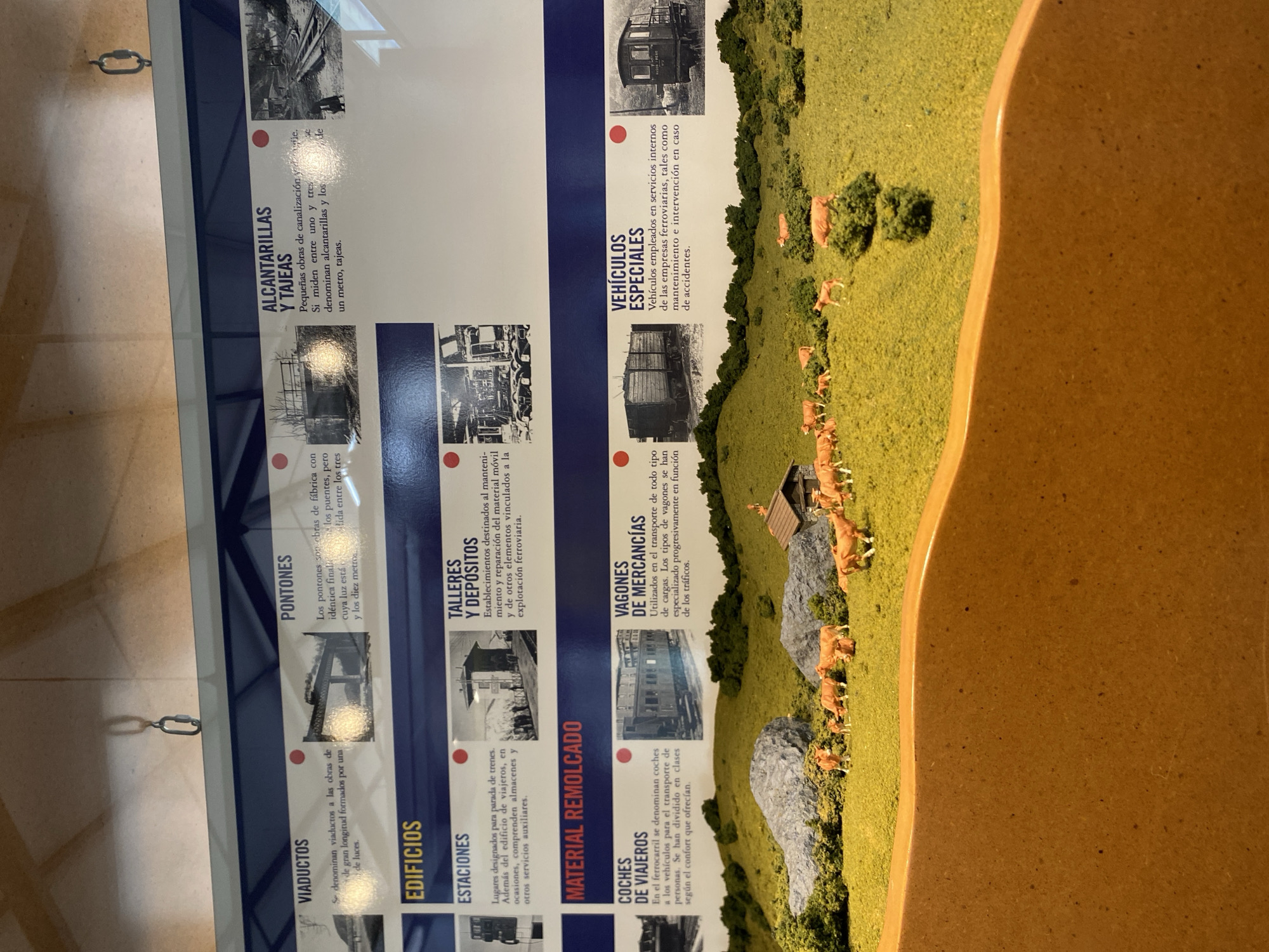 The image shows a display with a text panel on the left and a model landscape on the right. The text panel has several sections with black-and-white photos and text in Spanish, describing different railway elements such as viaducts, pontones, alcantarillas, estaciones, talleres y depósitos, coches de viajeros, vagones de mercancías, and vehículos especiales. The model landscape features a grassy field with small brown cows, trees, and a small structure resembling a barn or shed. The model landscape appears to continue to the right of the photo. The information on the text panel, combined with the model landscape, suggest the image is of a railway exhibit, likely located in Gijón/Xixón, Spain, given the language of the text.