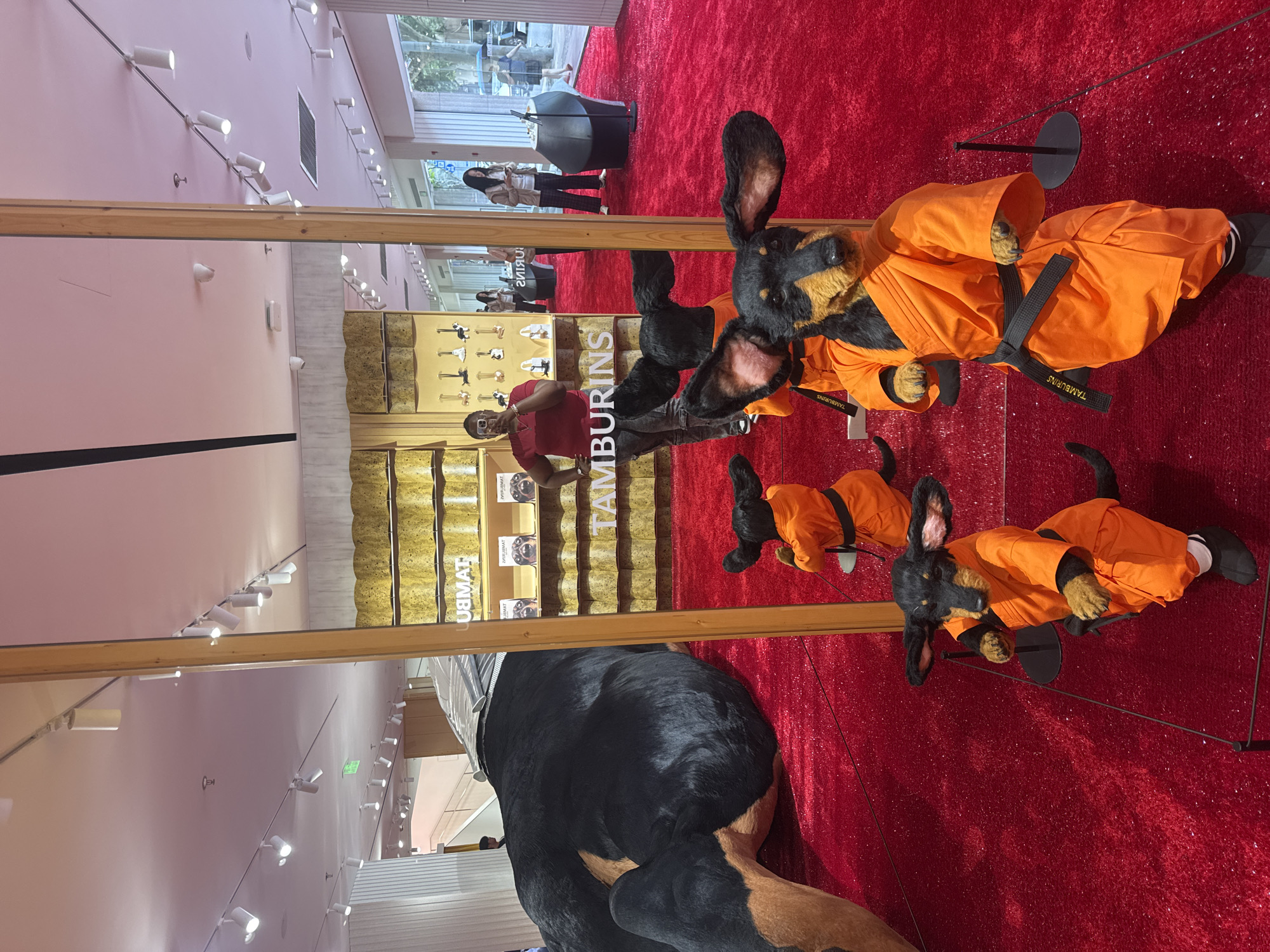 The image depicts the interior of a store with a vibrant red carpet. In the foreground, several dachshund figurines dressed in orange monk-like robes stand on display. A large, plush dachshund sculpture is partially visible to the left. A mirror reflects the store's interior, showing customers and shelves stocked with products. The word "TAMBURINS" is visible on a display shelf and also in the reflection. The store appears to be located in Shanghai, China, as suggested by the "TAMBURINS" branding, which has a known presence there, and the overall aesthetic of a modern retail space in a major Chinese city. The lighting is bright and commercial, with numerous track lights illuminating the space.