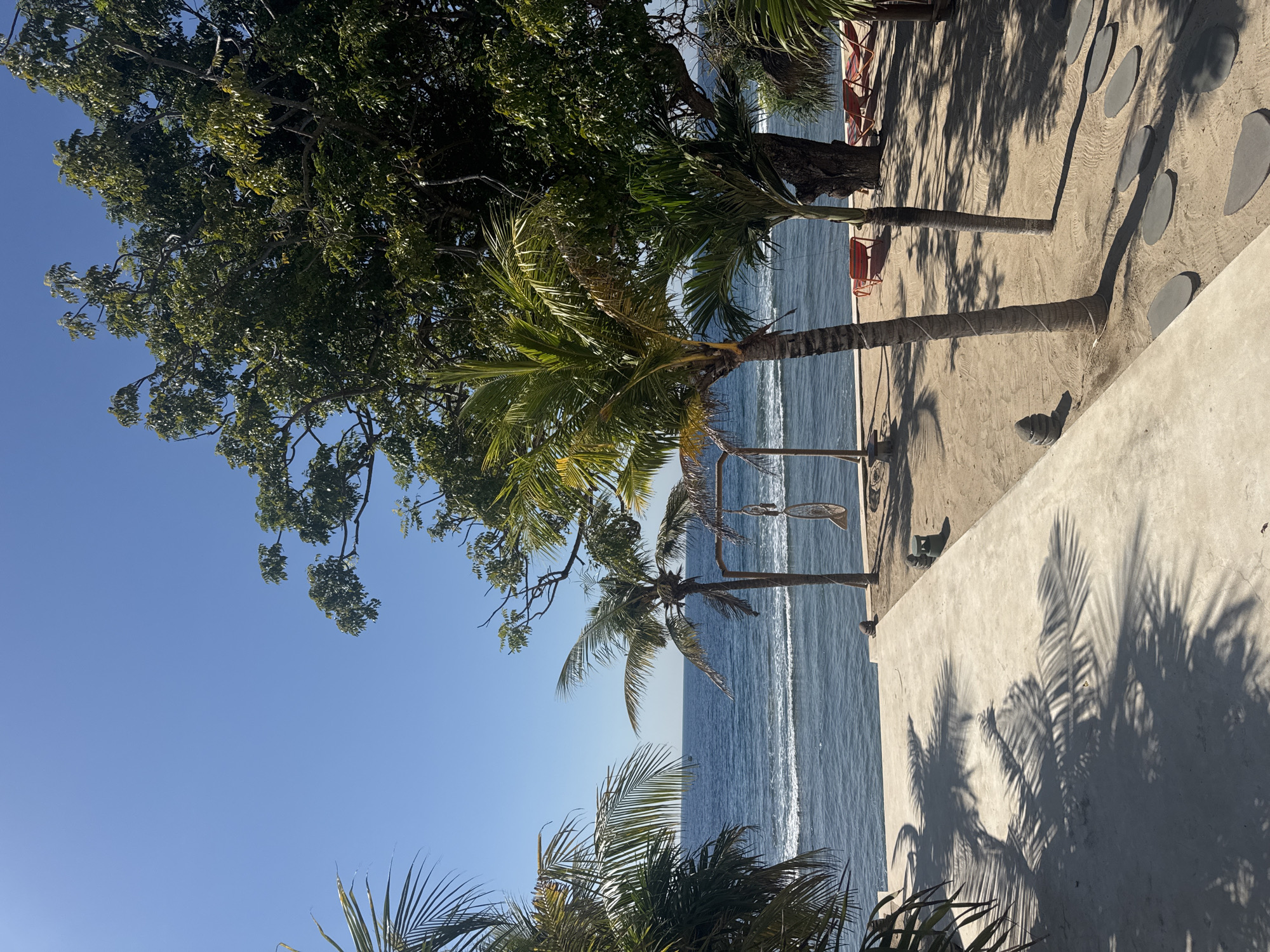 This image depicts a sunny beachside environment on Nusa Penida, Indonesia. The upper half of the frame is filled with a clear, light blue sky, meeting a distinct horizon line. Below the sky, the dark blue ocean displays moderate wave activity near the shore.
In the foreground, a light-colored concrete or paved pathway extends from the lower left towards the mid-right. This surface is partially covered by sharp, dark shadows cast by palm fronds from an unseen palm tree on the far left. The pathway transitions into a sandy beach area that leads to the ocean.
Several tropical trees populate the scene. Multiple palm trees, including one prominent example in the mid-left and two in the mid-right, rise from the sand. A large, dense-foliaged tree dominates the upper right quadrant, extending downwards and casting significant shadow onto the sand. Beneath this large tree, three red-orange beach loungers are arranged on the sand.
Near the water's edge, between two palm trees, a wooden A-frame structure supports a suspended white, net-like object, resembling a decorative swing or a dreamcatcher. On the sand, a series of flat, irregular grey stepping stones form a path. Two instances of stacked stone sculptures (cairns) are visible: one near the concrete path in the mid-left and another closer to the ocean's edge. A small, cylindrical green stool or table is also present on the sand near one of the stacked stone sculptures.
The scene is entirely devoid of people. Strong overhead sunlight creates high contrast between illuminated areas and deep, defined shadows.