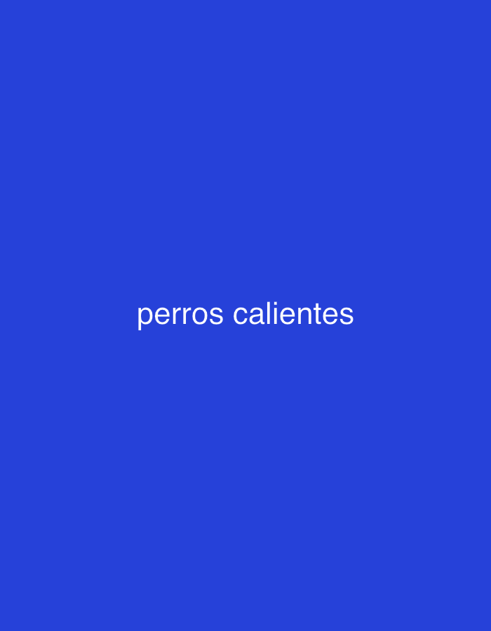 The image displays white text "perros calientes" centrally positioned on a solid blue background. There are no visible subjects such as people or objects, nor is any activity or event depicted. The background is uniformly blue, without any discernible features or textures that would indicate a specific scene or setting. No time of day, weather conditions, or emotional states are conveyed. While the location context of Santa Ana, Venezuela is provided, no visual cues within the image itself support this geographical detail.